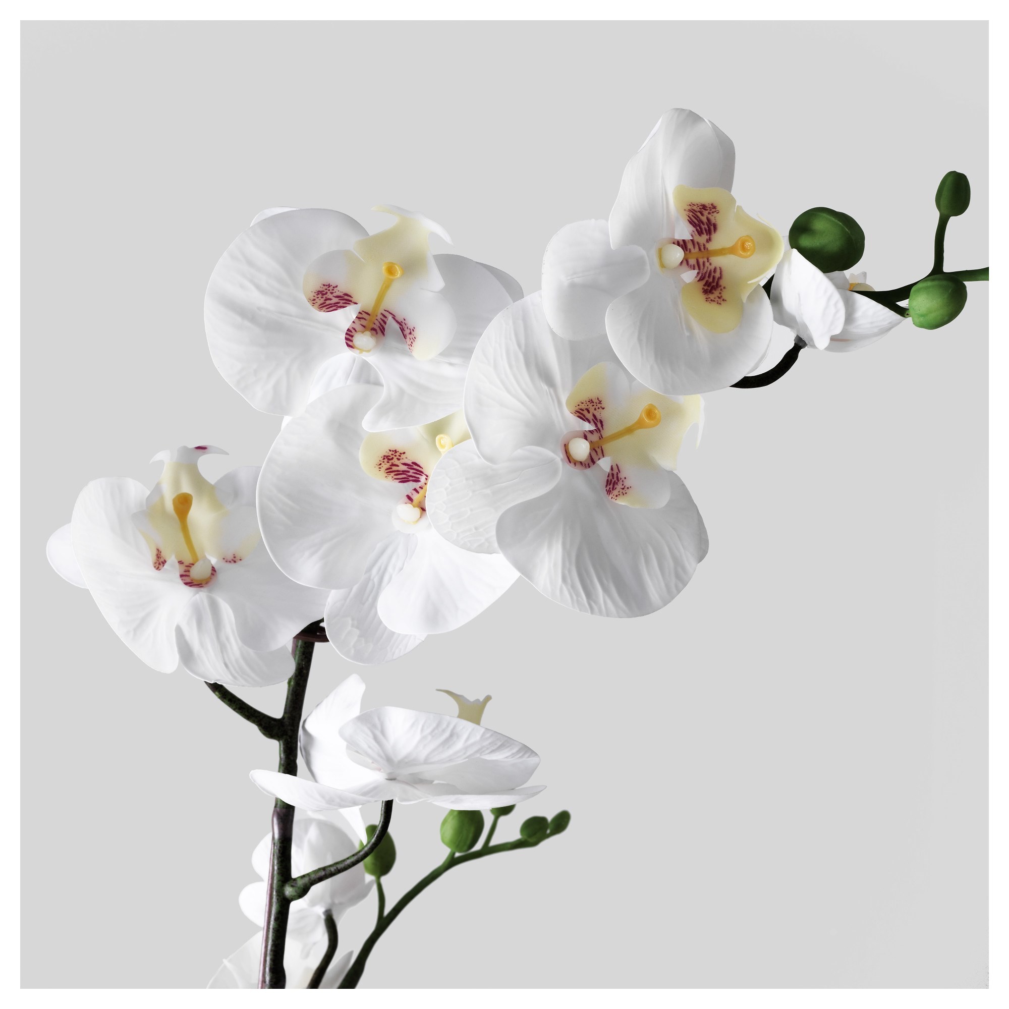 Yapay bitki, beyaz, 12 cm, orkide