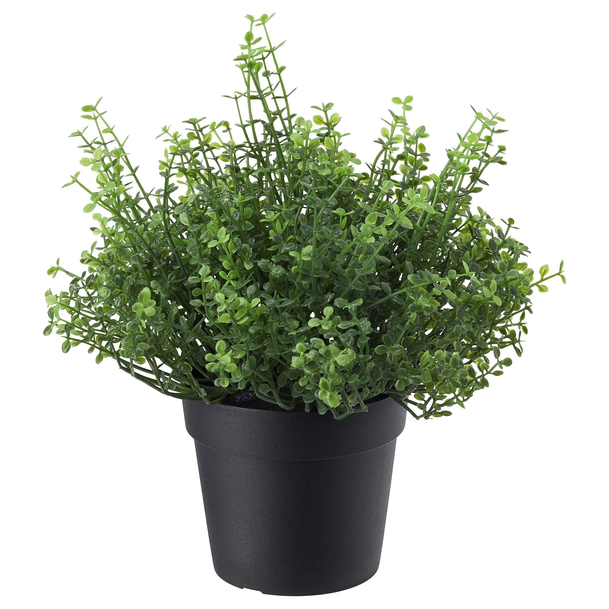 Yapay bitki, yeşil, 9 cm, arapsaçı çiçeği, iç/dış mekan