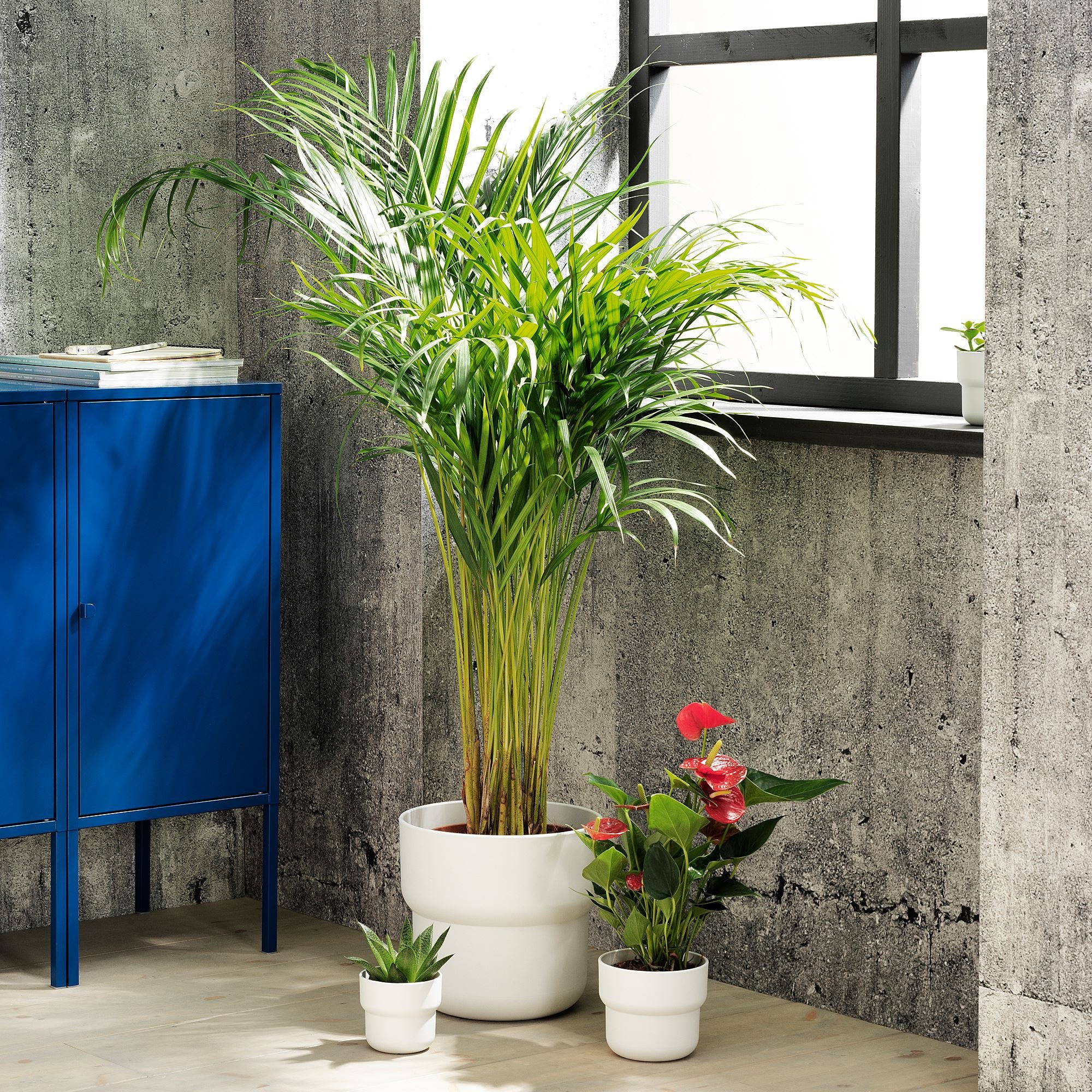 Plastik saksı, beyaz, 24 cm