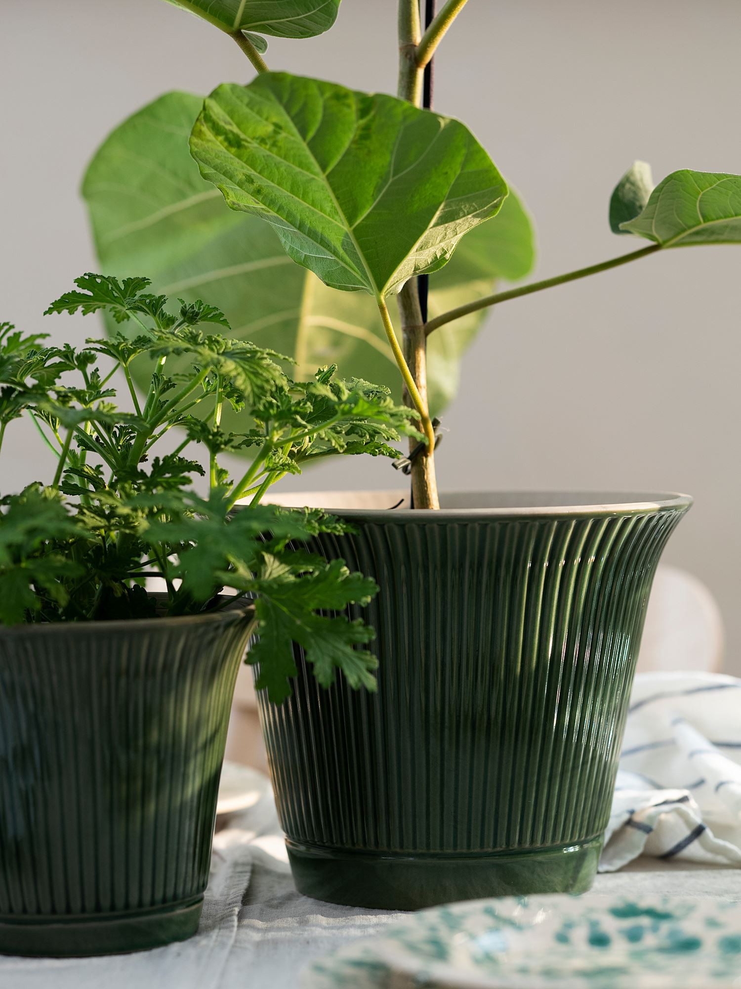 Seramik saksı, yeşil, 15 cm