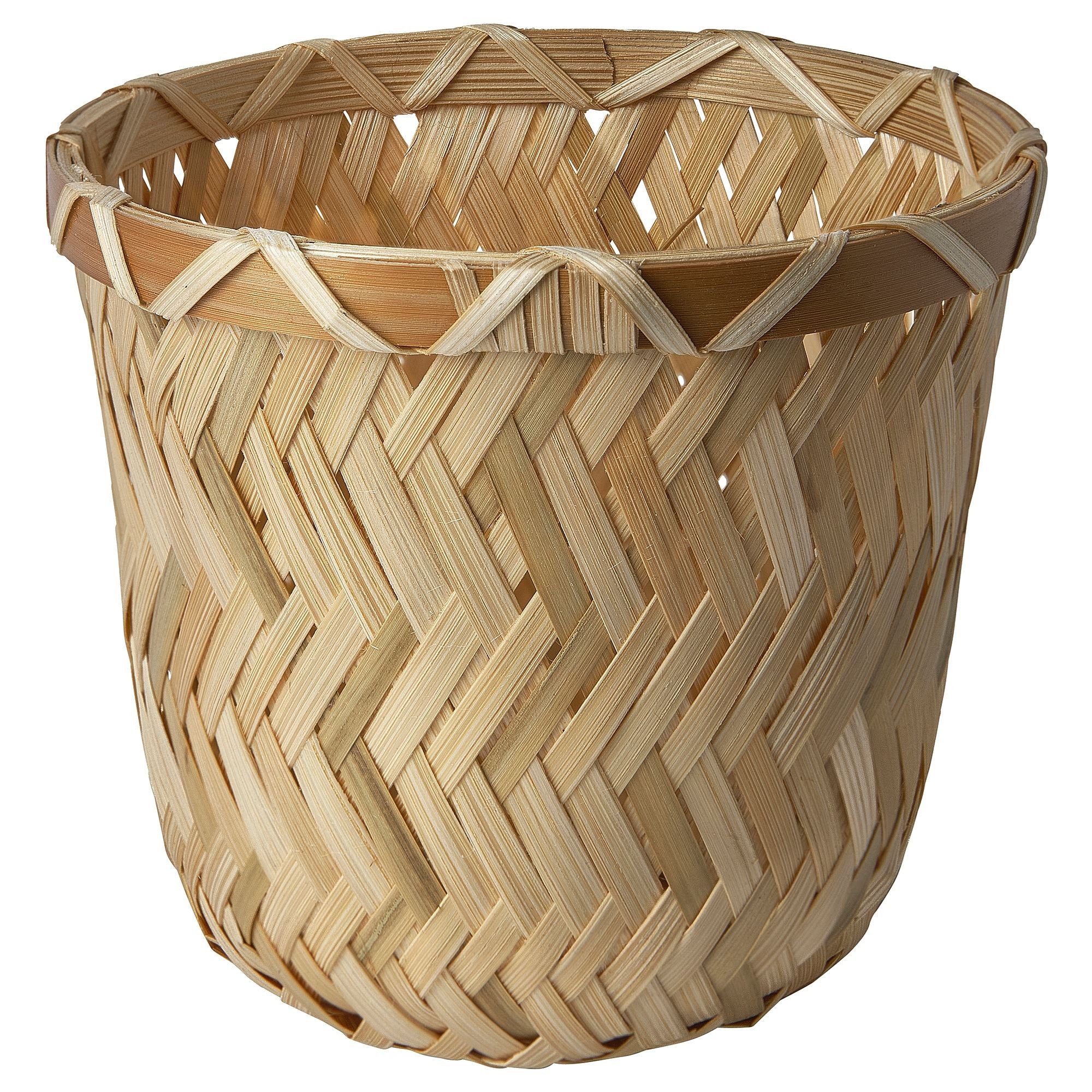 Bambu saksı, bambu, 9 cm