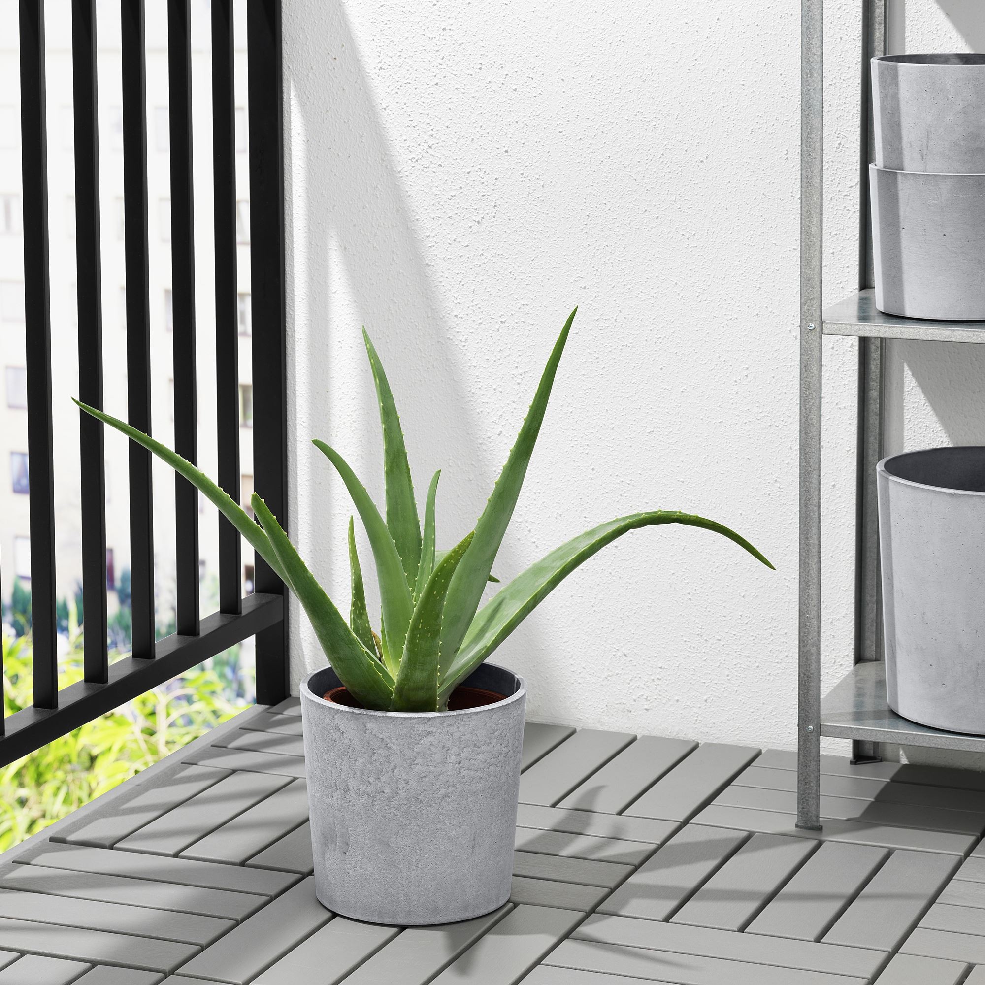 Beton saksı, açık gri, 19 cm, iç/dış mekan