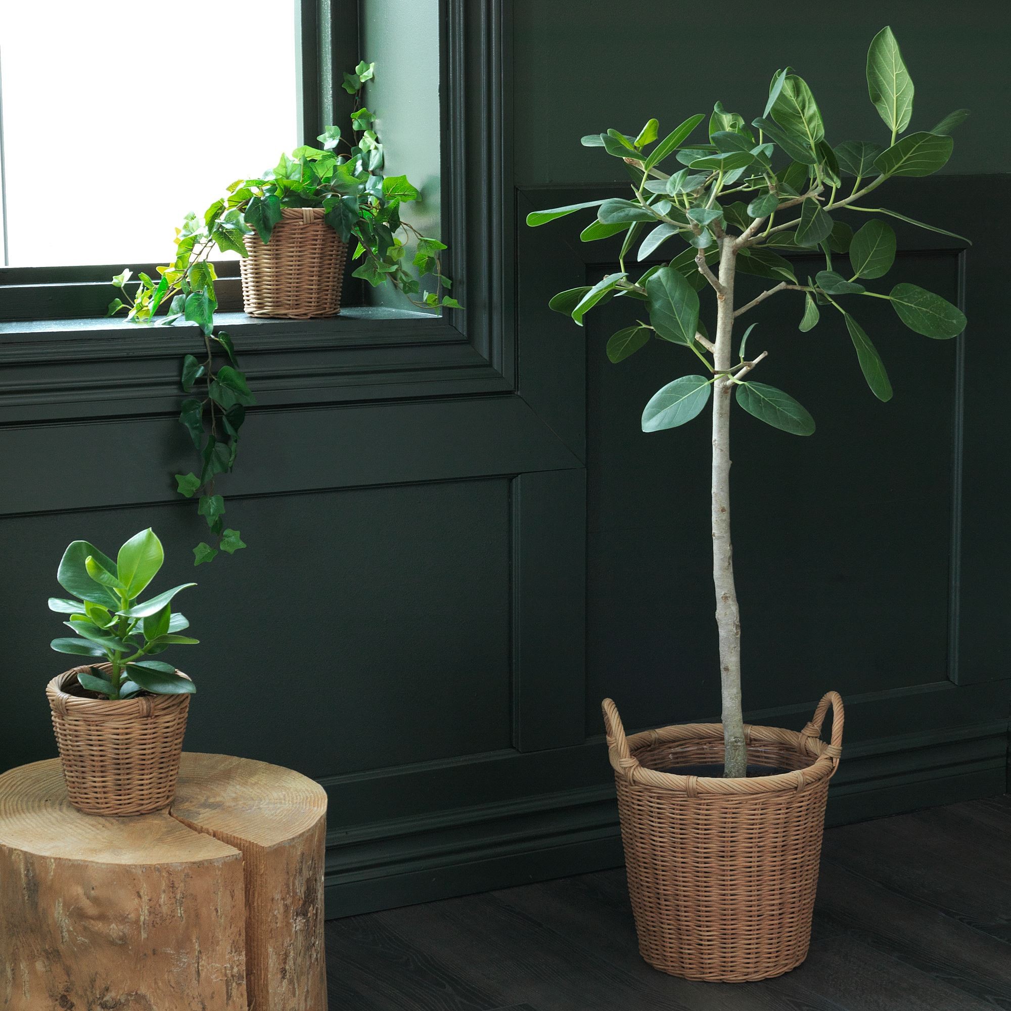 Rattan saksı, rattan, 24 cm