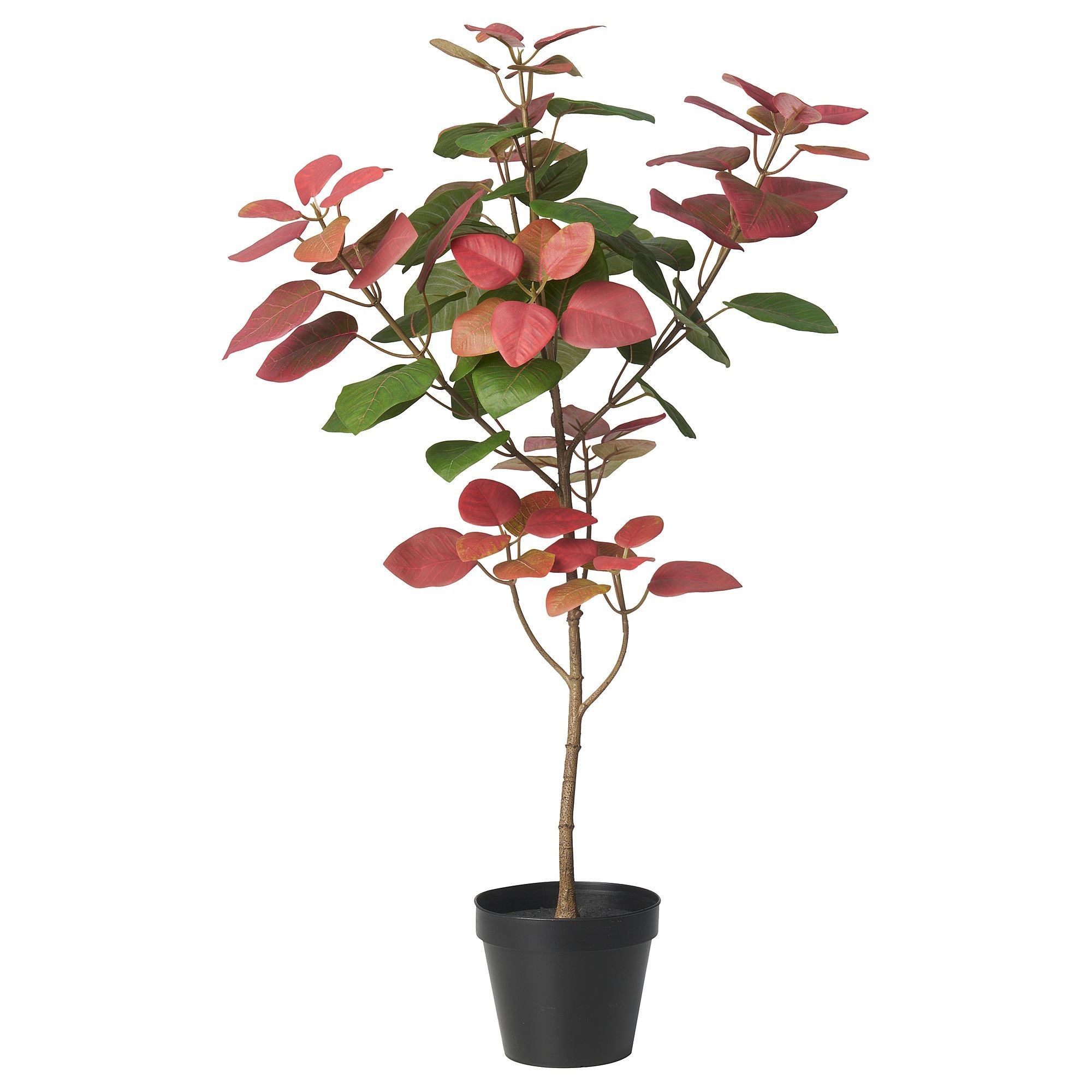 Yapay bitki, pembe-yeşil, 12 cm, duman ağacı