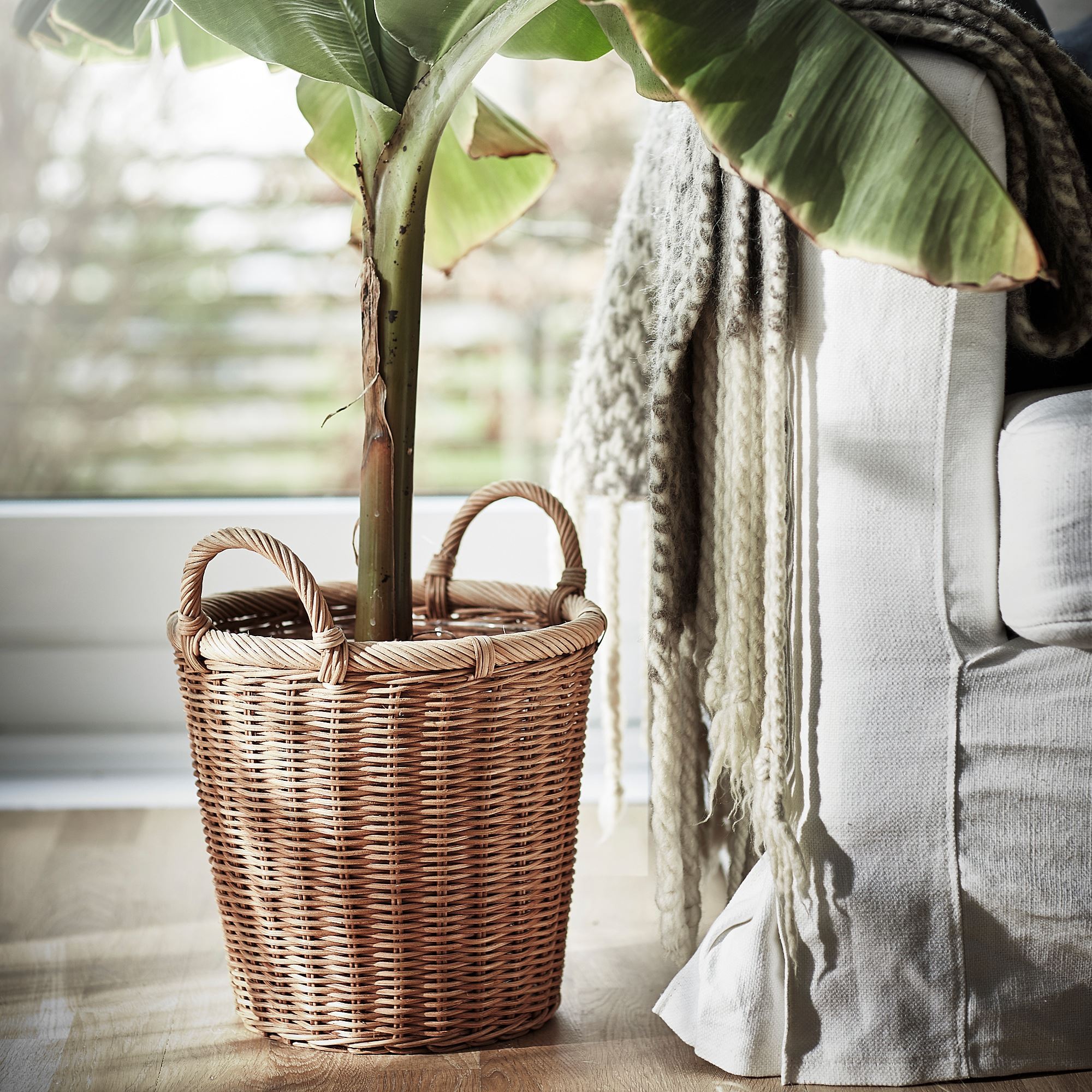 Rattan saksı, rattan, 24 cm