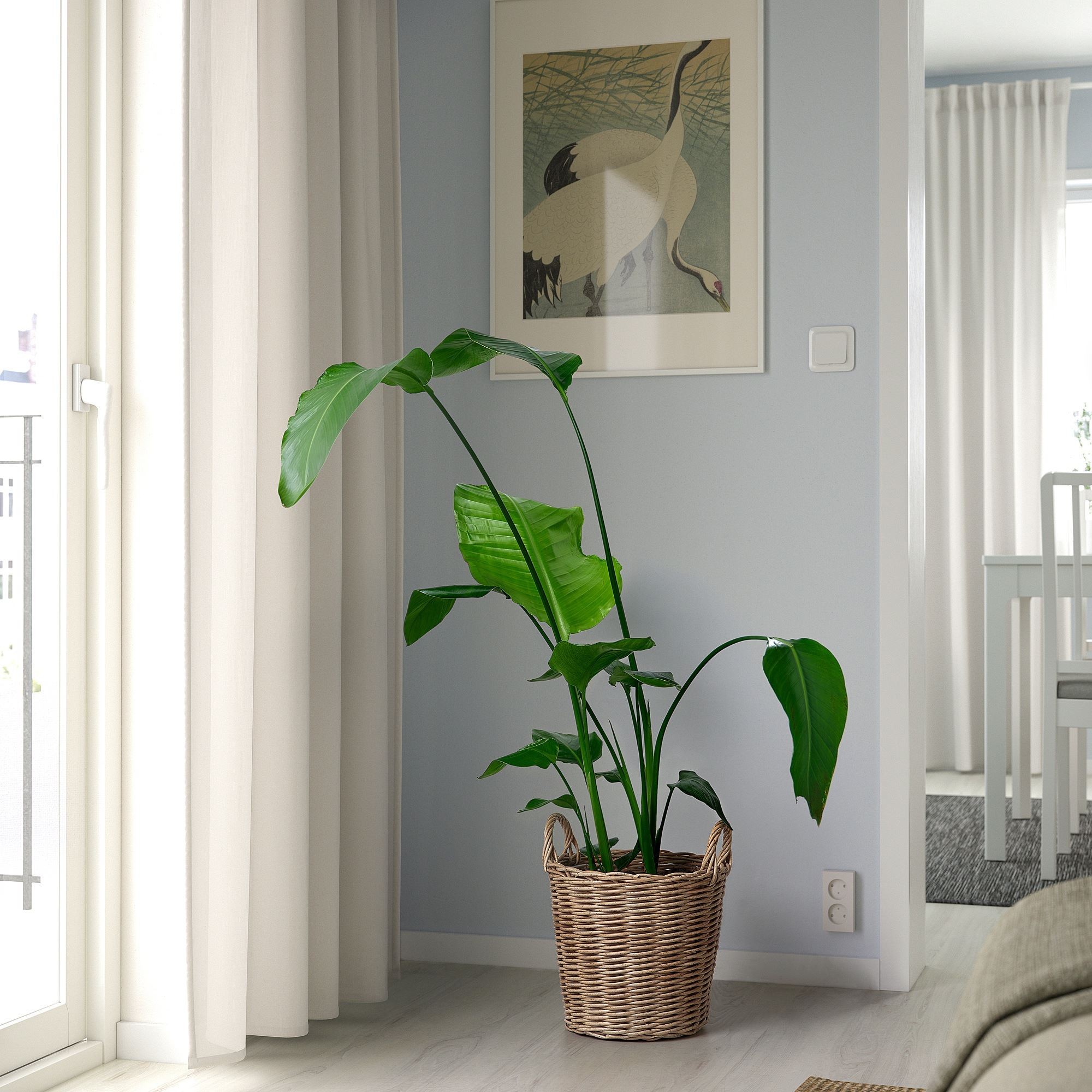 Plastik saksı, kahverengi, 24 cm