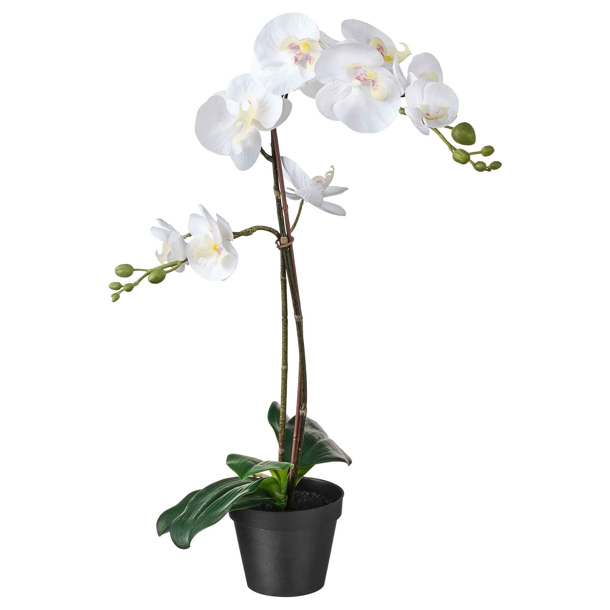 Yapay bitki, beyaz, 12 cm, orkide