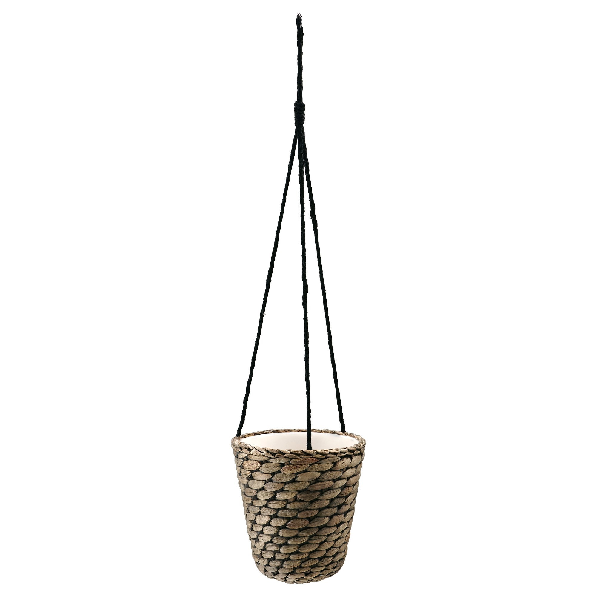 Asma saksı, su sümbülü, 14 cm