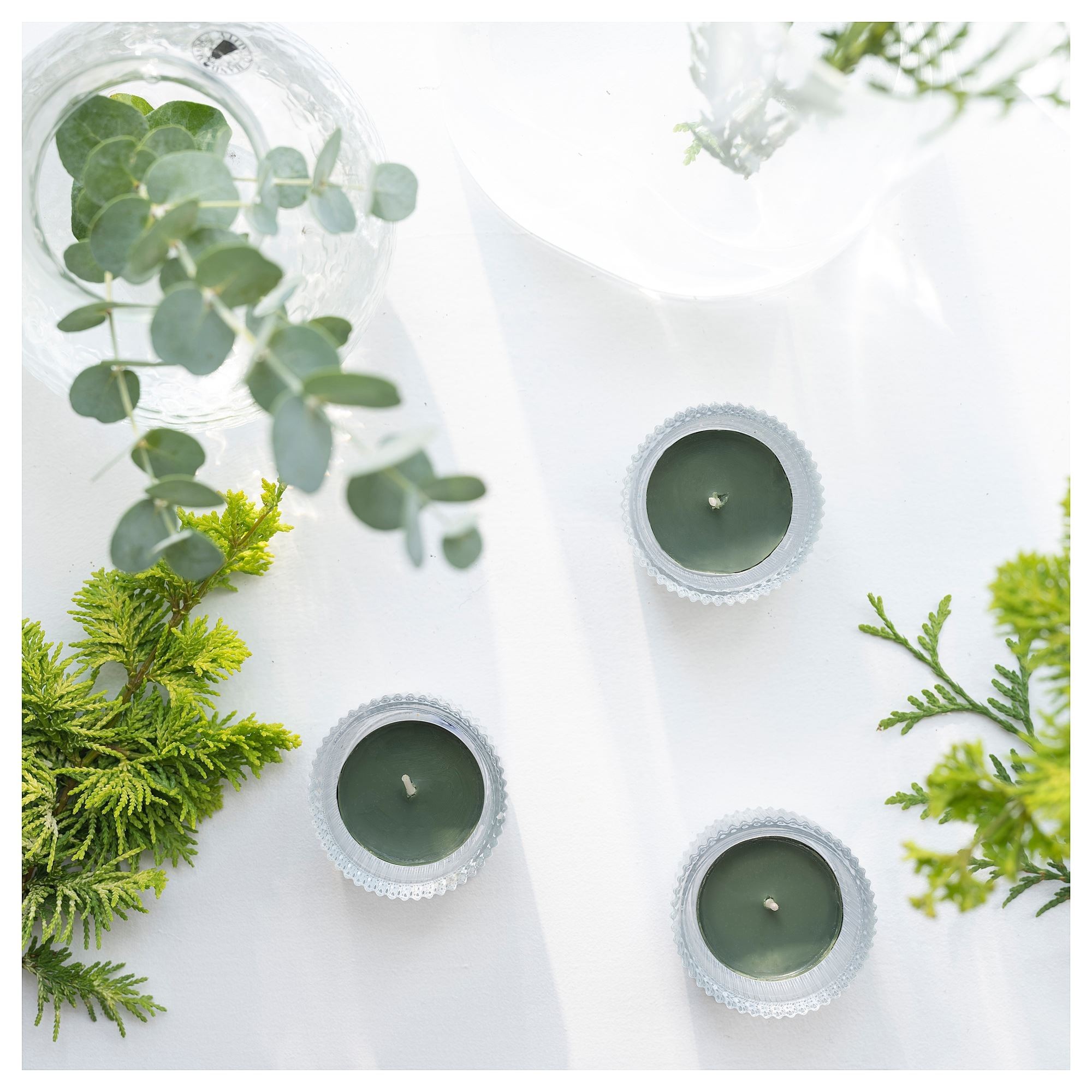 Kokulu tealight mum, koyu yeşil, 3.5 saat, 30 adet, çam ve yosunun