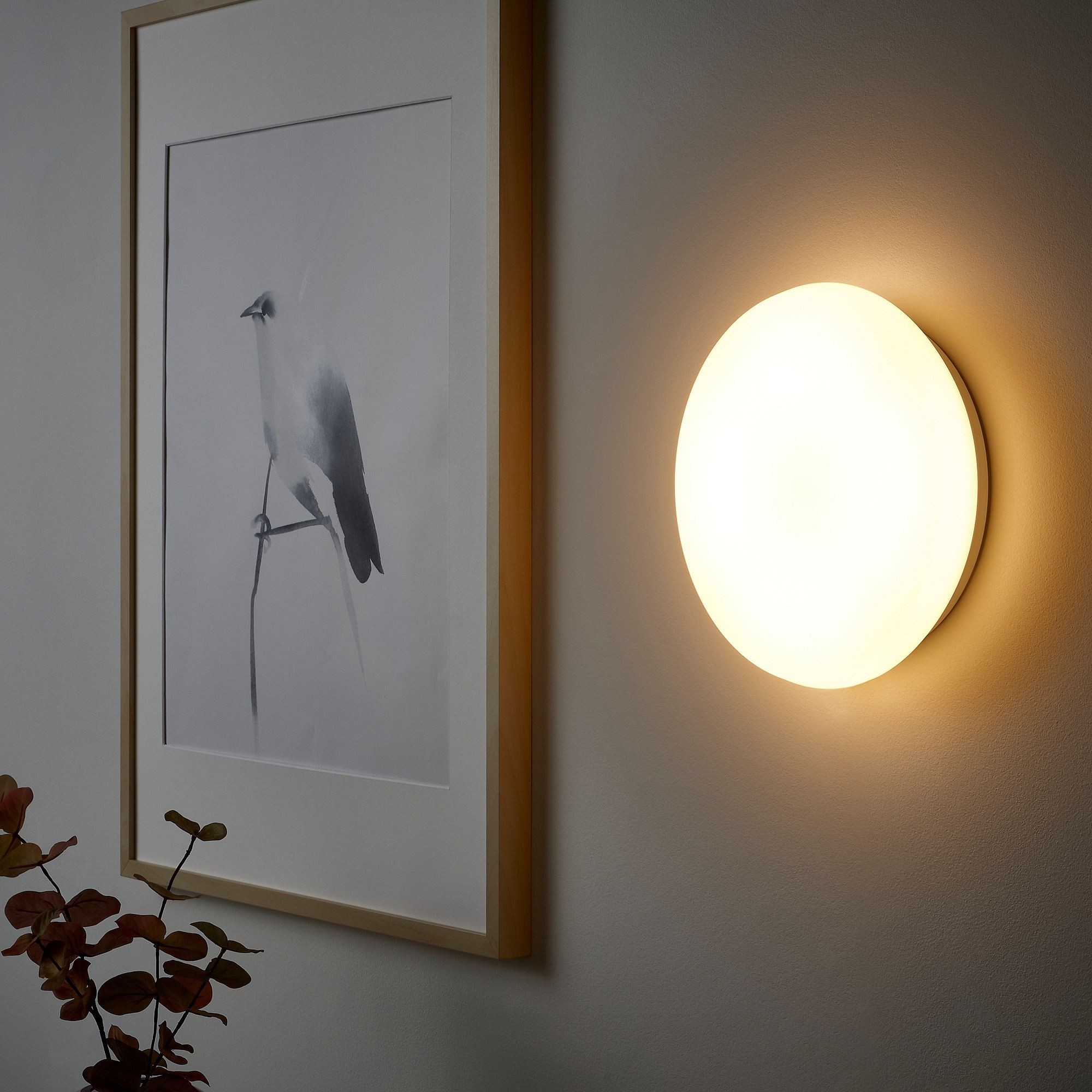 Tavan/duvar lambası, beyaz, 24 cm, LED'li