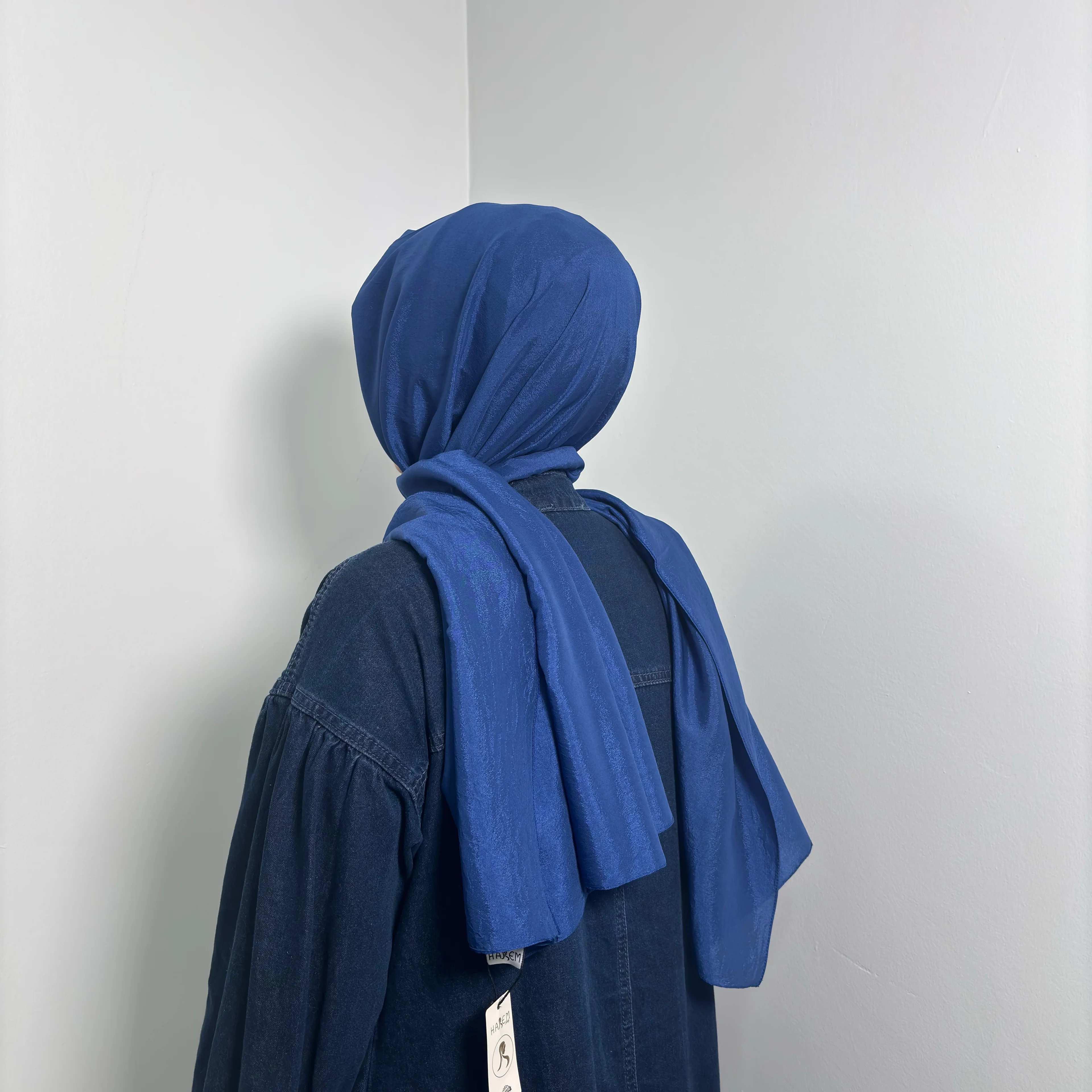 HAREM BRİSA ŞAL - Parlament