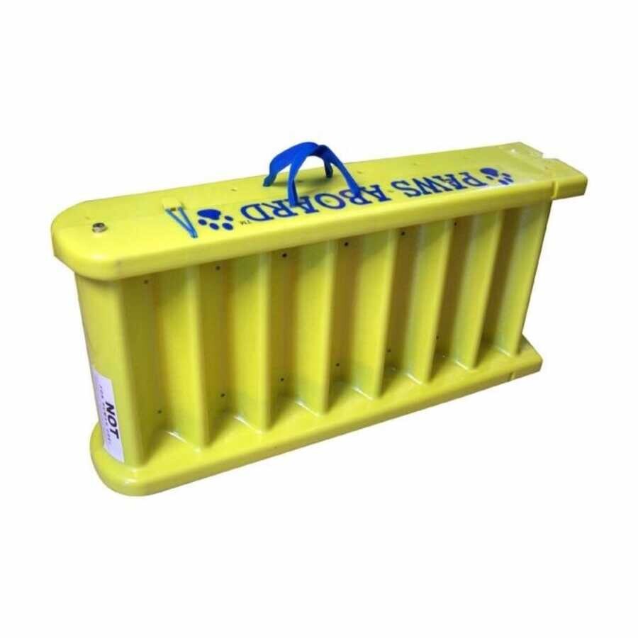 Boat ladder for dog