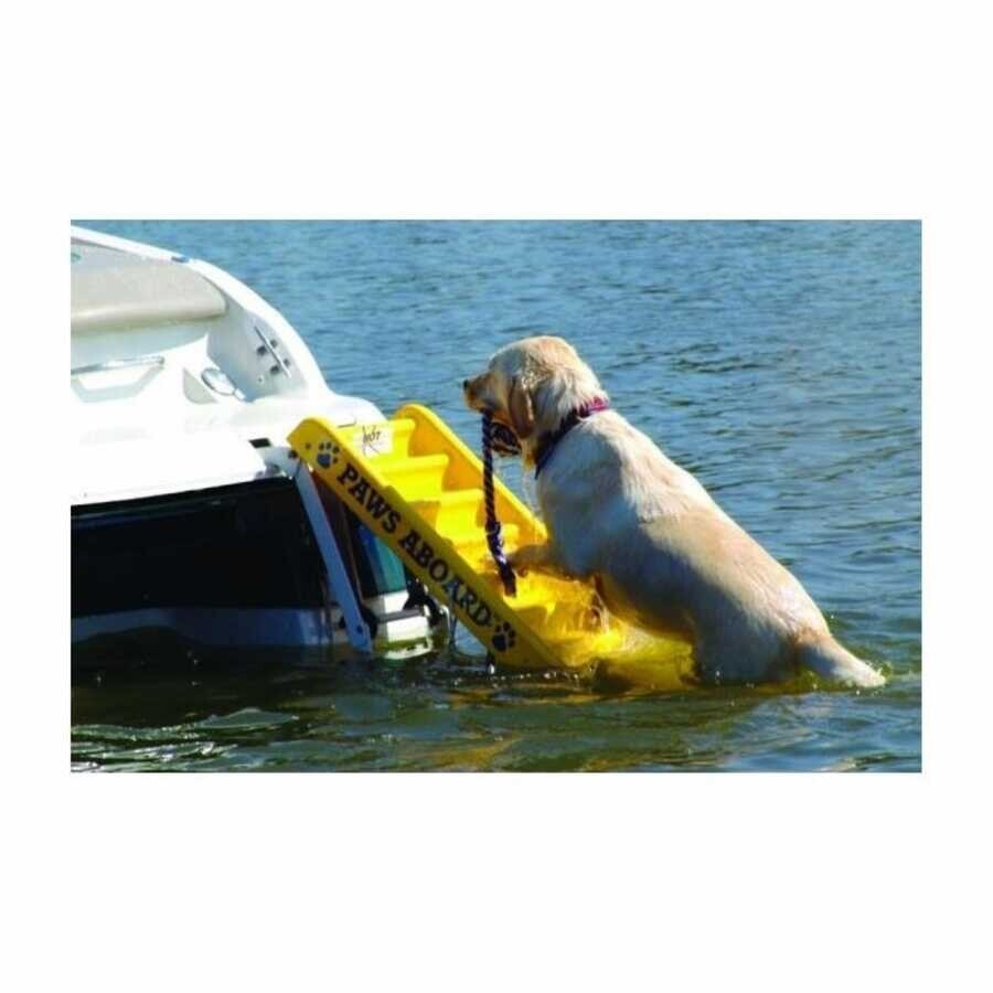 Köpek İçin Tekne Merdiveni