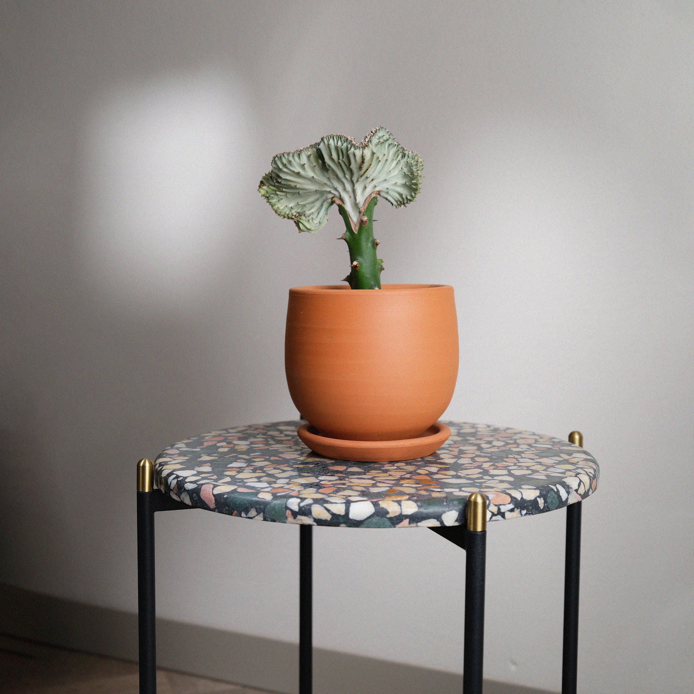 Plak Terrazzo Sehpa