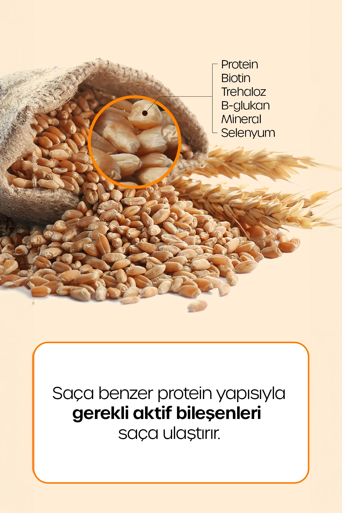 Premium Alman Bira Mayası Şampuanı Germany Beer Yeast Shampoo 500 Ml