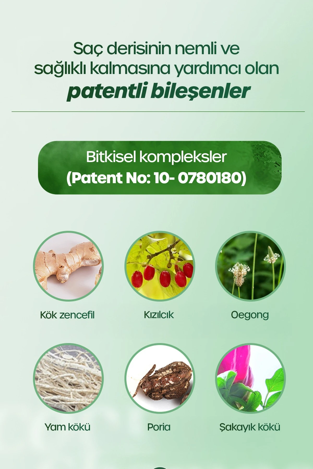 Cool Dökülme Karşıtı Elektriklenen Ve Kabaran Saçlar Için Nemlendirici Yatıştırıcı Şampuan 1000 ml