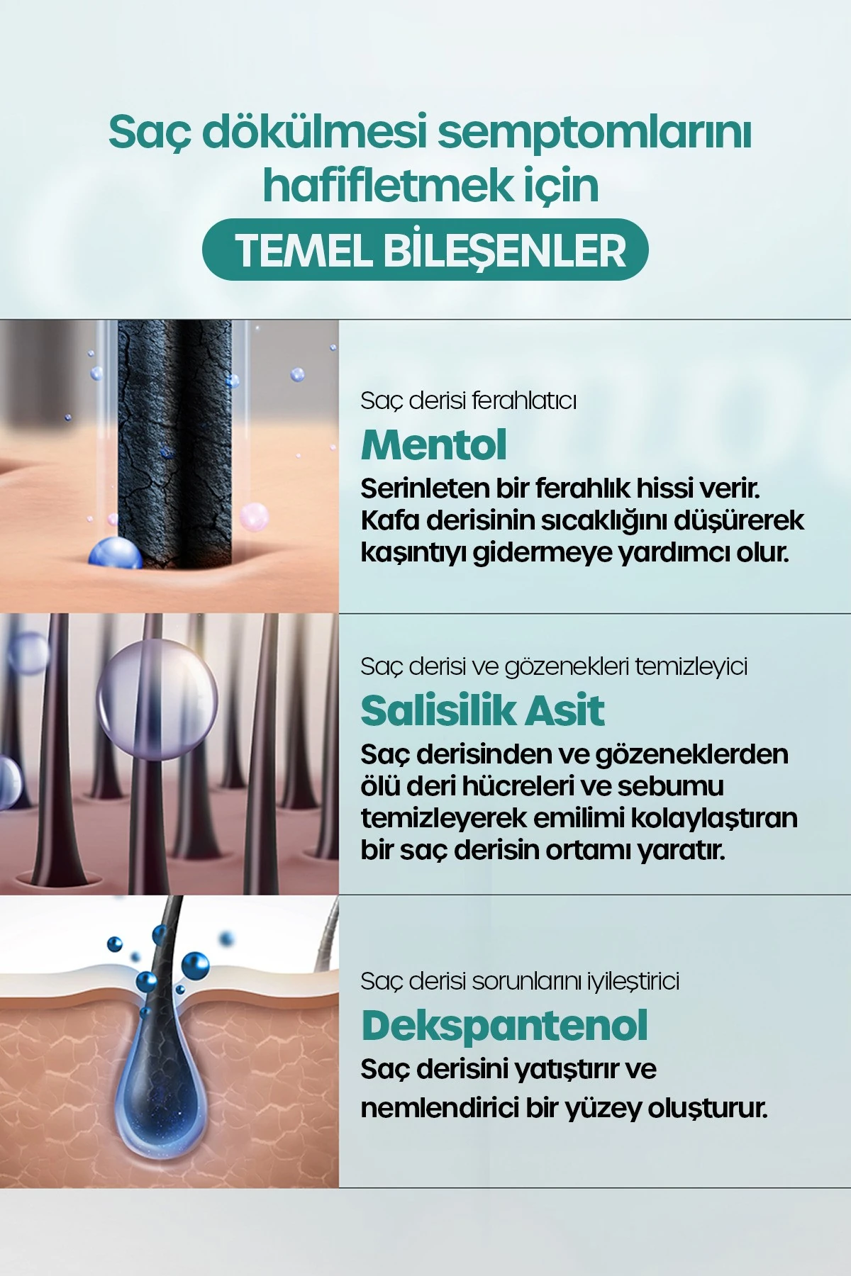 Cool Dökülme Karşıtı Elektriklenen Ve Kabaran Saçlar Için Nemlendirici Yatıştırıcı Şampuan 1000 ml