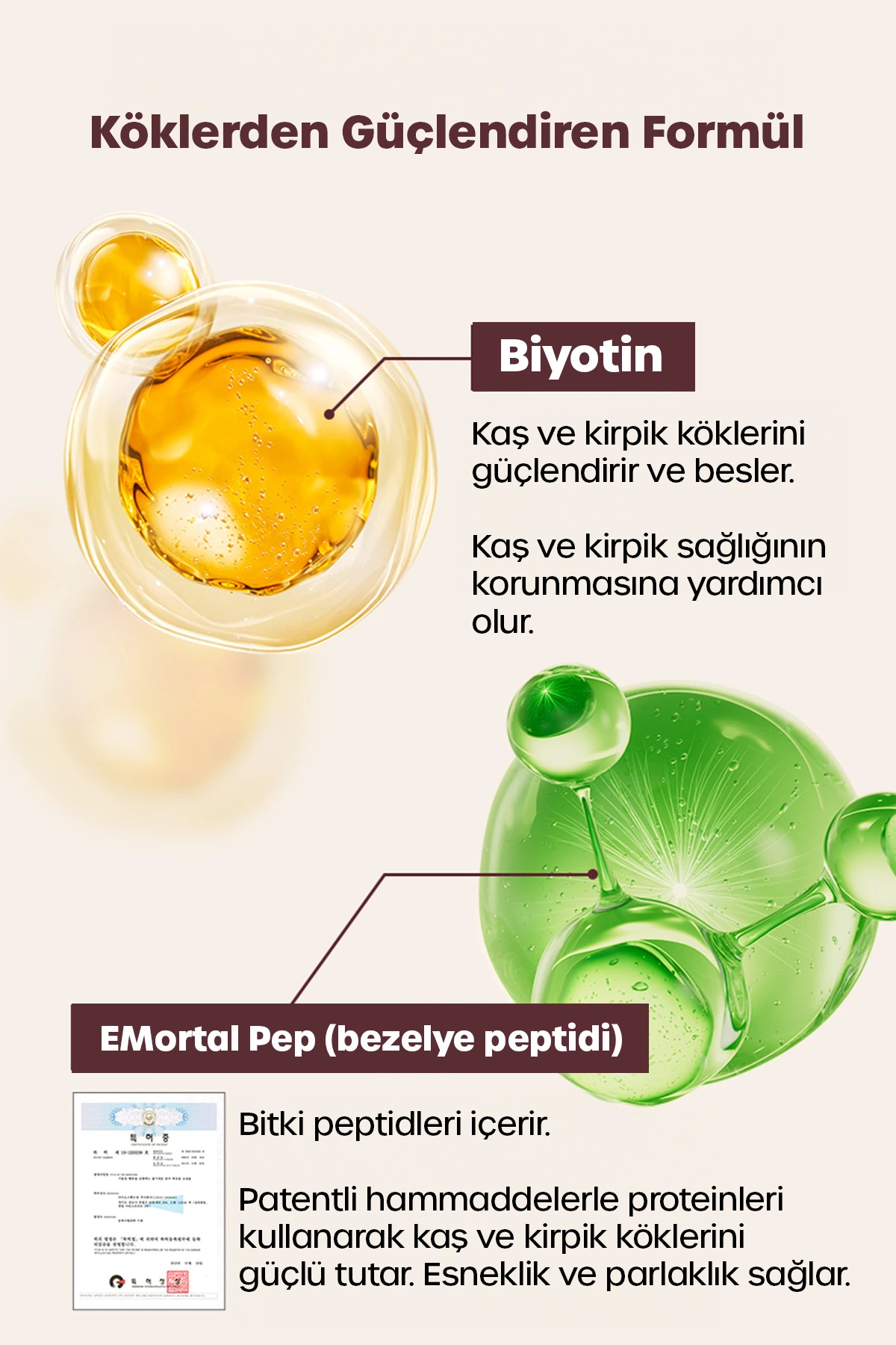 Kaş ve Kirpik İçin Besleyici Serum, Güney Kore'den 2x15 Ml Büyük Kapasiteli (2 Adet Kutu İçeriği)