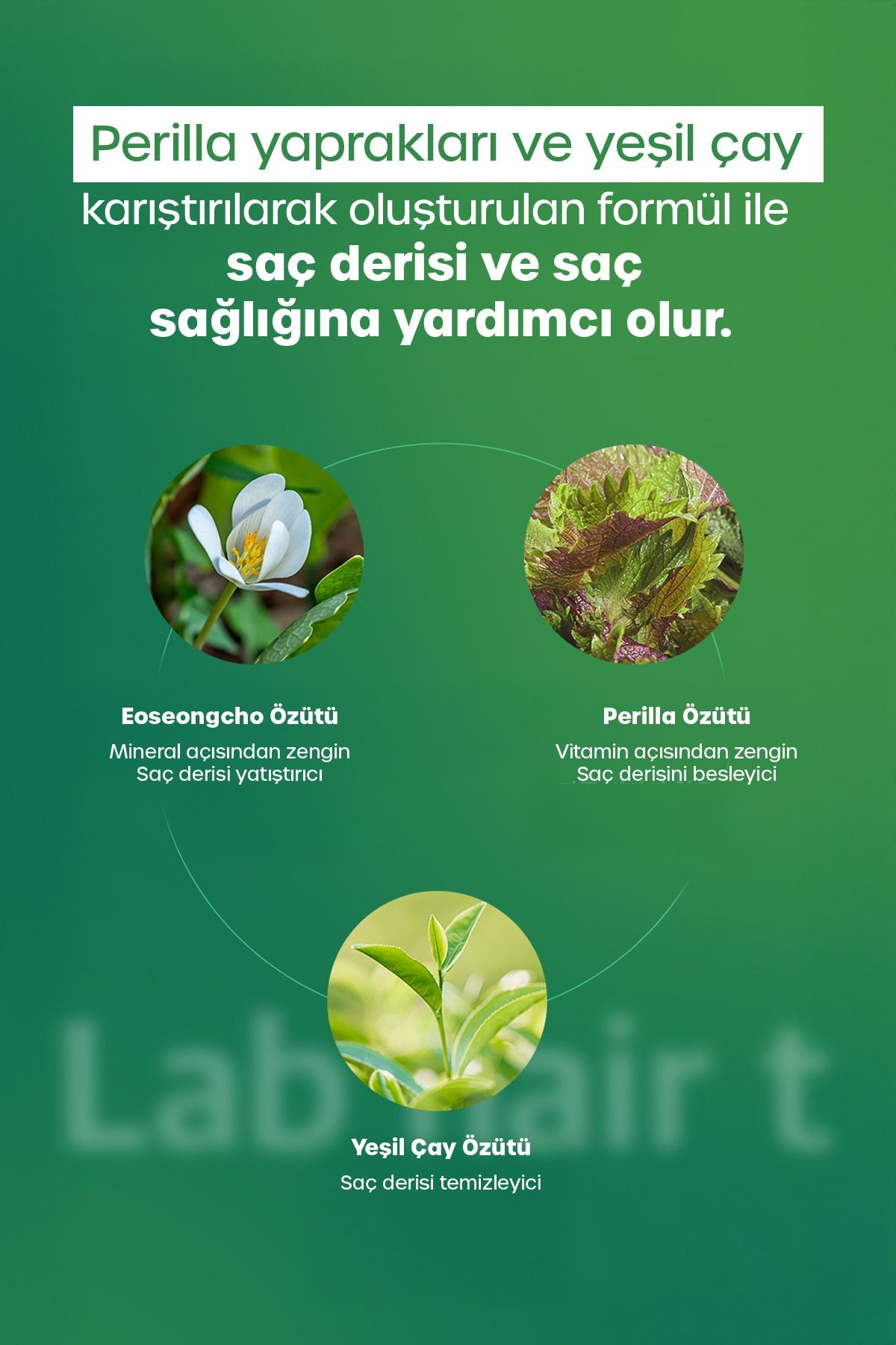 Lab Saç Dökülme Karşıtı Tonik, Anti Hair Loss Tonic 150 Ml