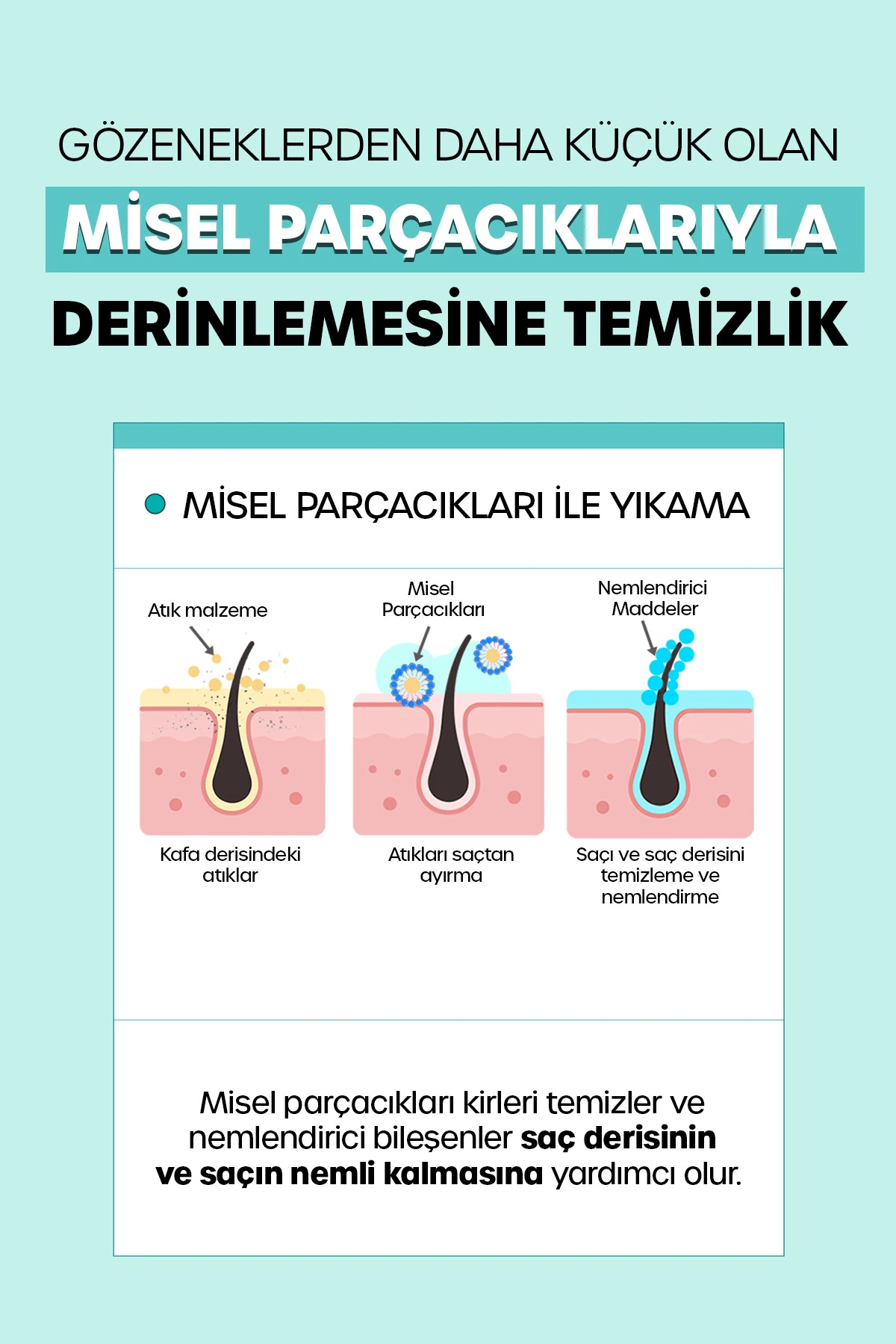 DR BANGGIWON Yağlı Saçlar İçin Sebum Dengeleyici Şampuanı No Sebum Shampoo 1000 ml