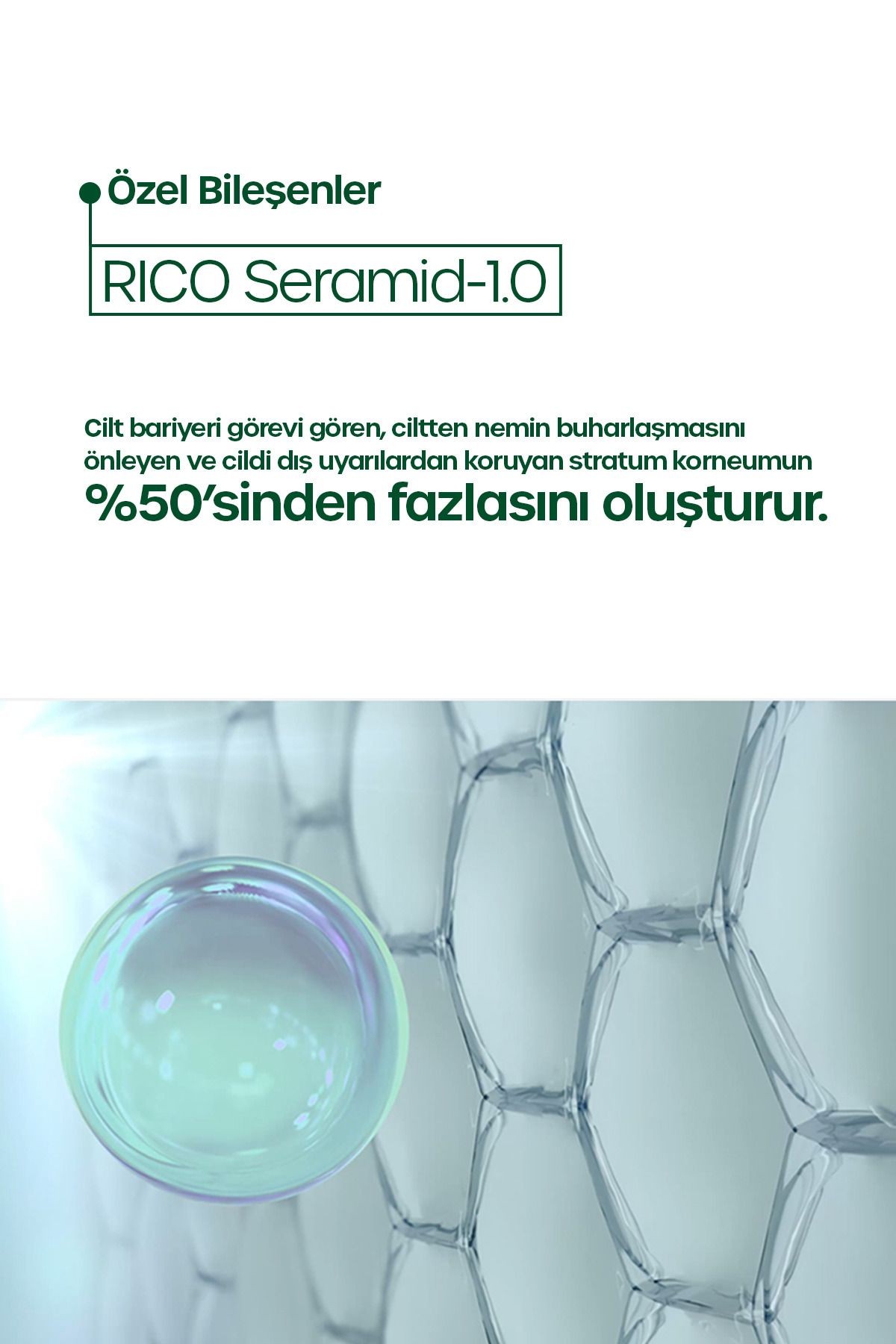Cicamide Yüz Temizleme Köpüğü Cicamide Cleanser Foam 3x200 Ml