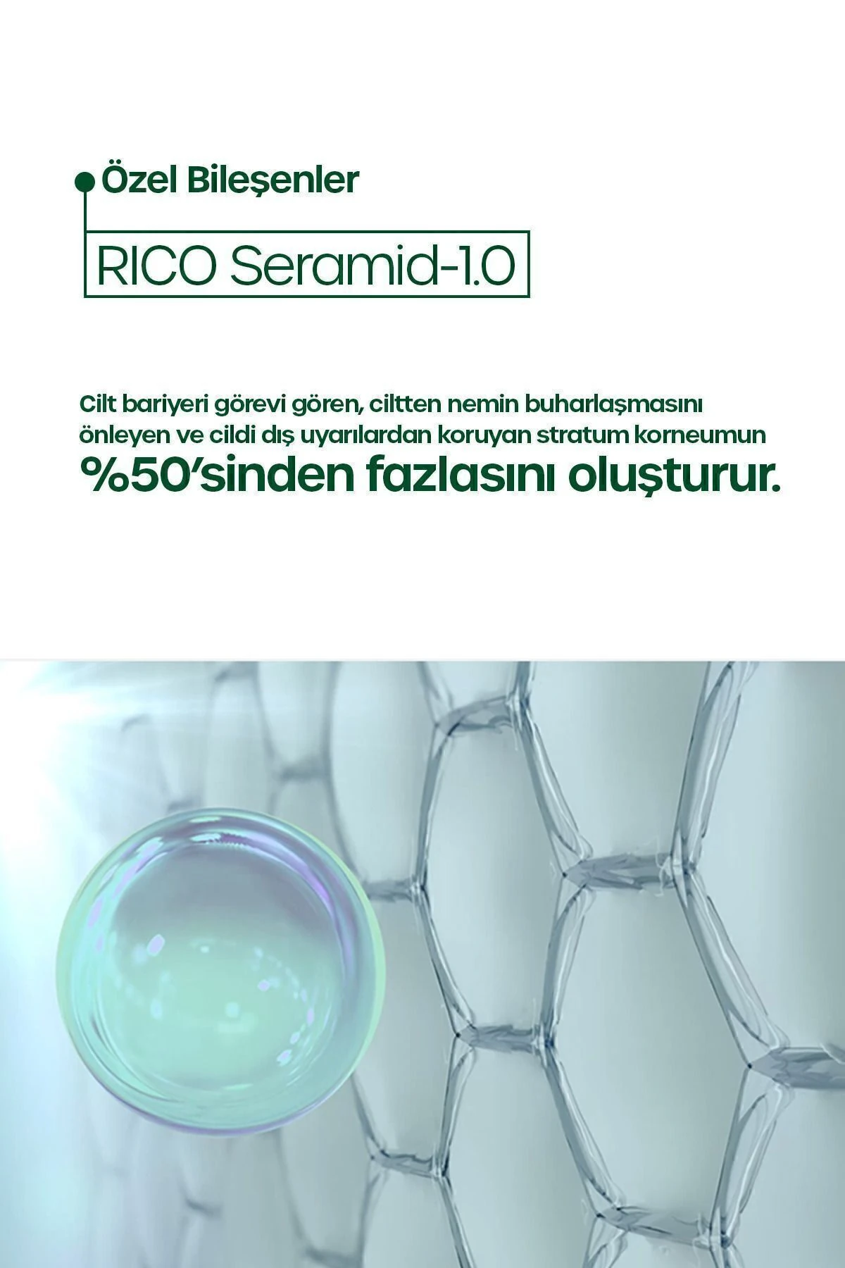 Cicamide Cilt Bariyerini Güçlendiren Yatıştırıcı ve Arındırıcı Yüz Temizleme Köpüğü (200 ml)