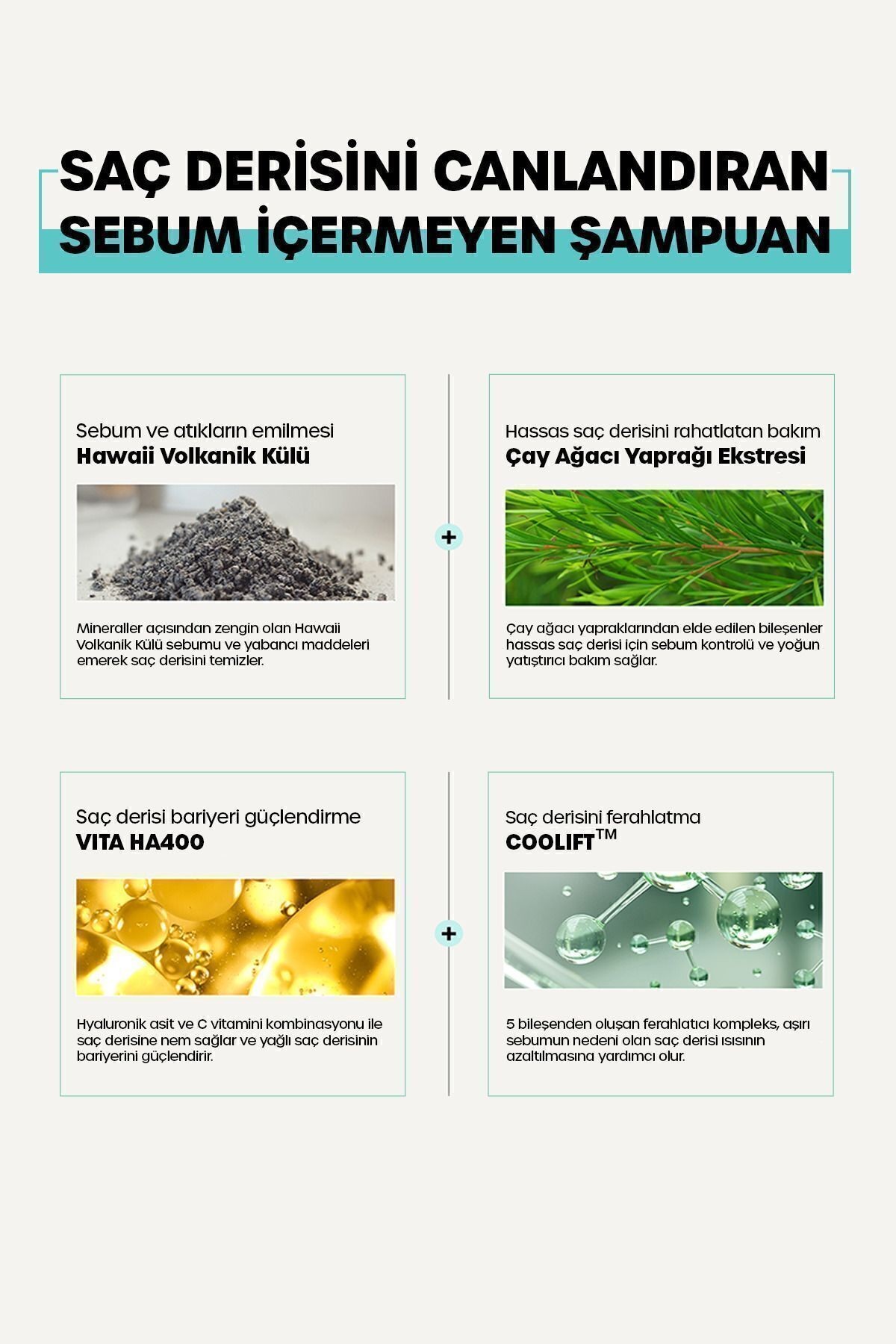 Yağlı Saçlar Için Sebum Dengeleyici Şampuanı No Sebum Shampoo 1000 ml