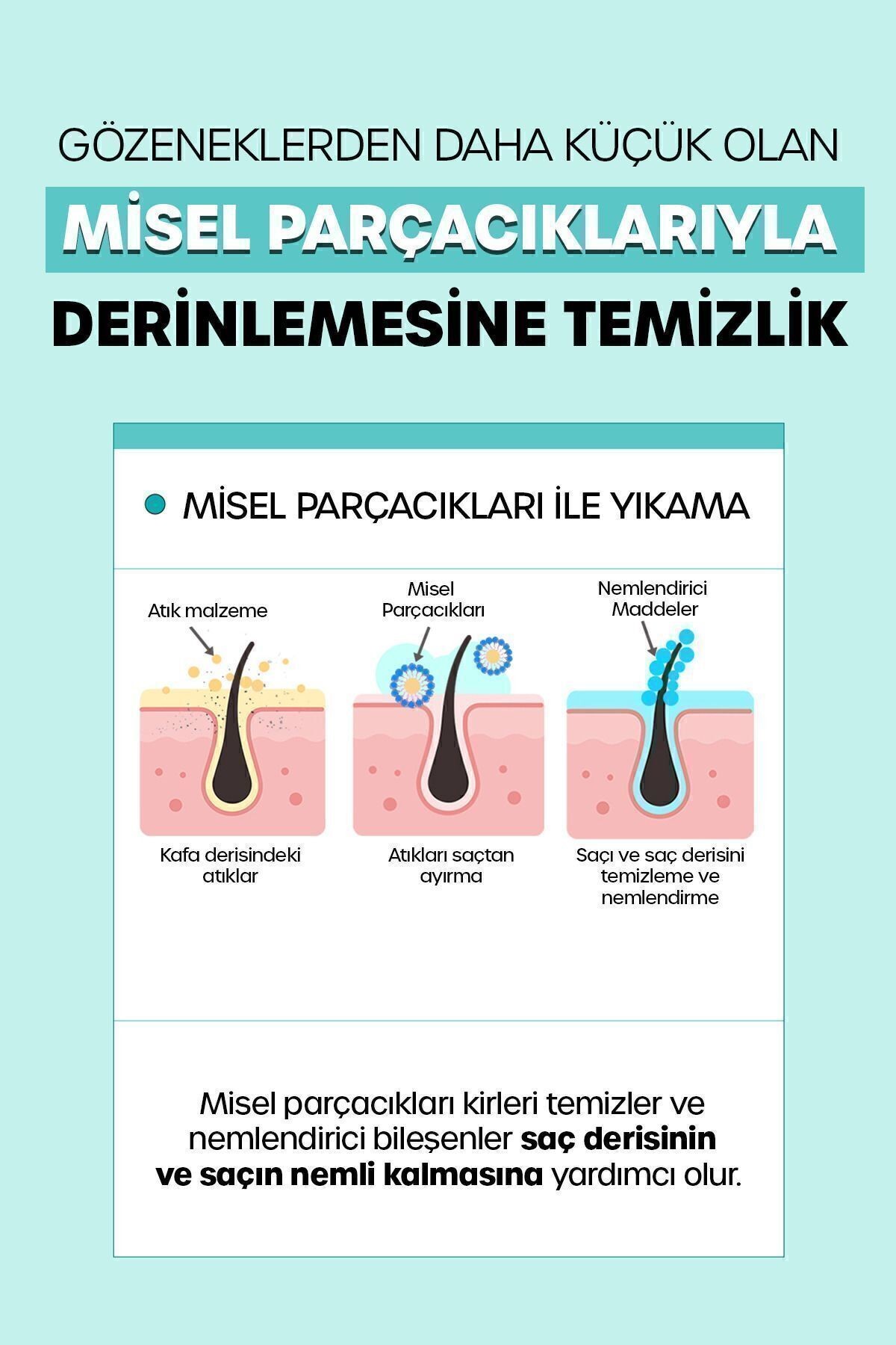 Yağlı Saçlar Için Sebum Dengeleyici Şampuanı No Sebum Shampoo 1000 ml