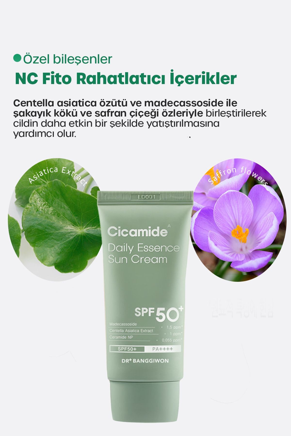 Güneş Kremi Cicamide Centella Asiatica, Seramid Onarıcı, Spf50 Pa 50ml
