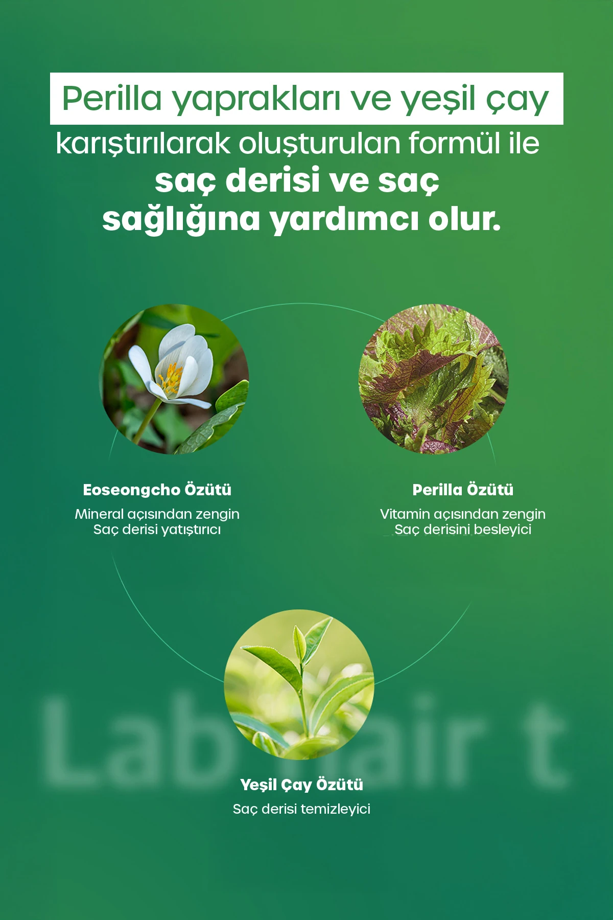 Lab Saç Toniği, Besleyici ve Güçlendirici Etki 150 ml