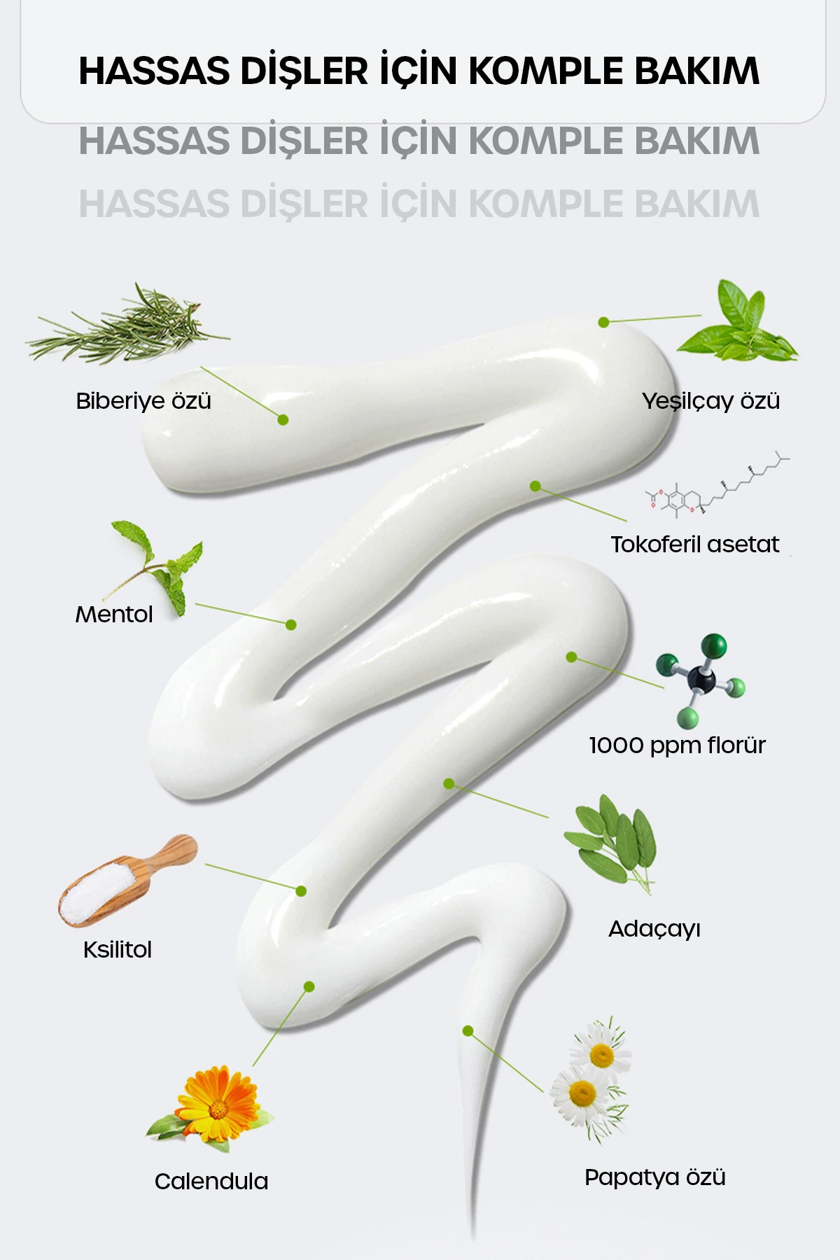 Sensidental Gum Care Diş Macunu – 150 g (Spearmint)