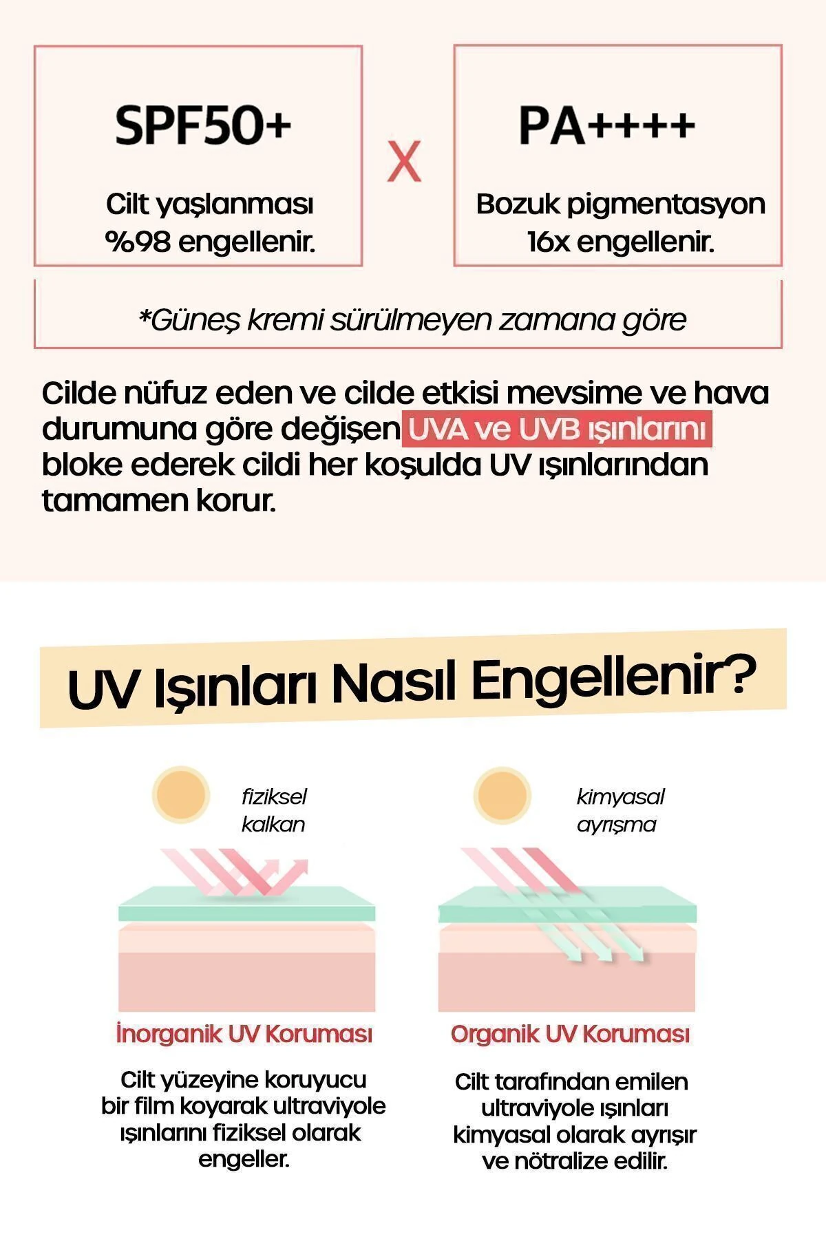 Bej02 Eşitleyici Aydınlatıcı Güneş Kremi, Pürüzsüz Tonlayıcı 50 ml Tone Up Uv Protection Spf50 Pa+++