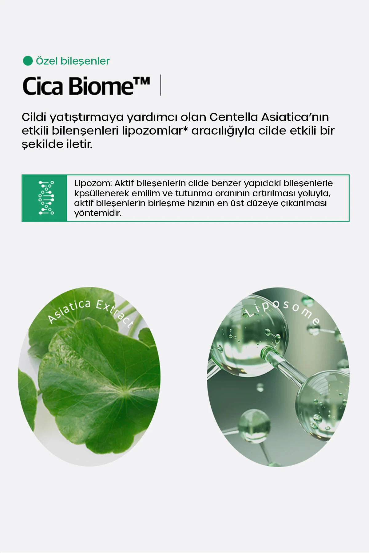 Cicamide Leke Karşıtı Krem, Nemlendirici, Aydınlatıcı, Gün Boyu Etkili, Erkeklere Özel, 300 Ml