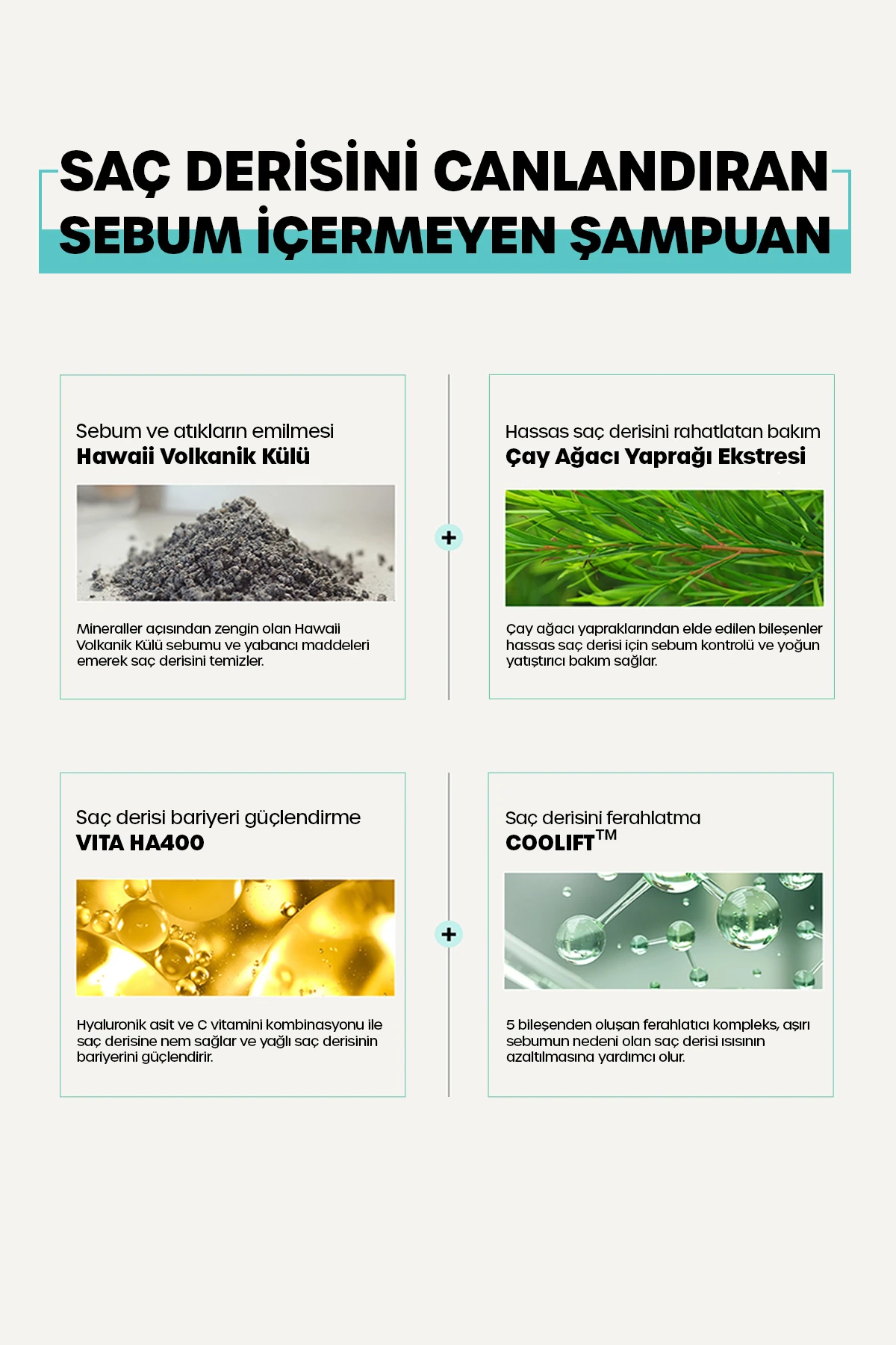 DR BANGGIWON Yağlı Saçlar İçin Sebum Dengeleyici Şampuanı No Sebum Shampoo 1000 ml