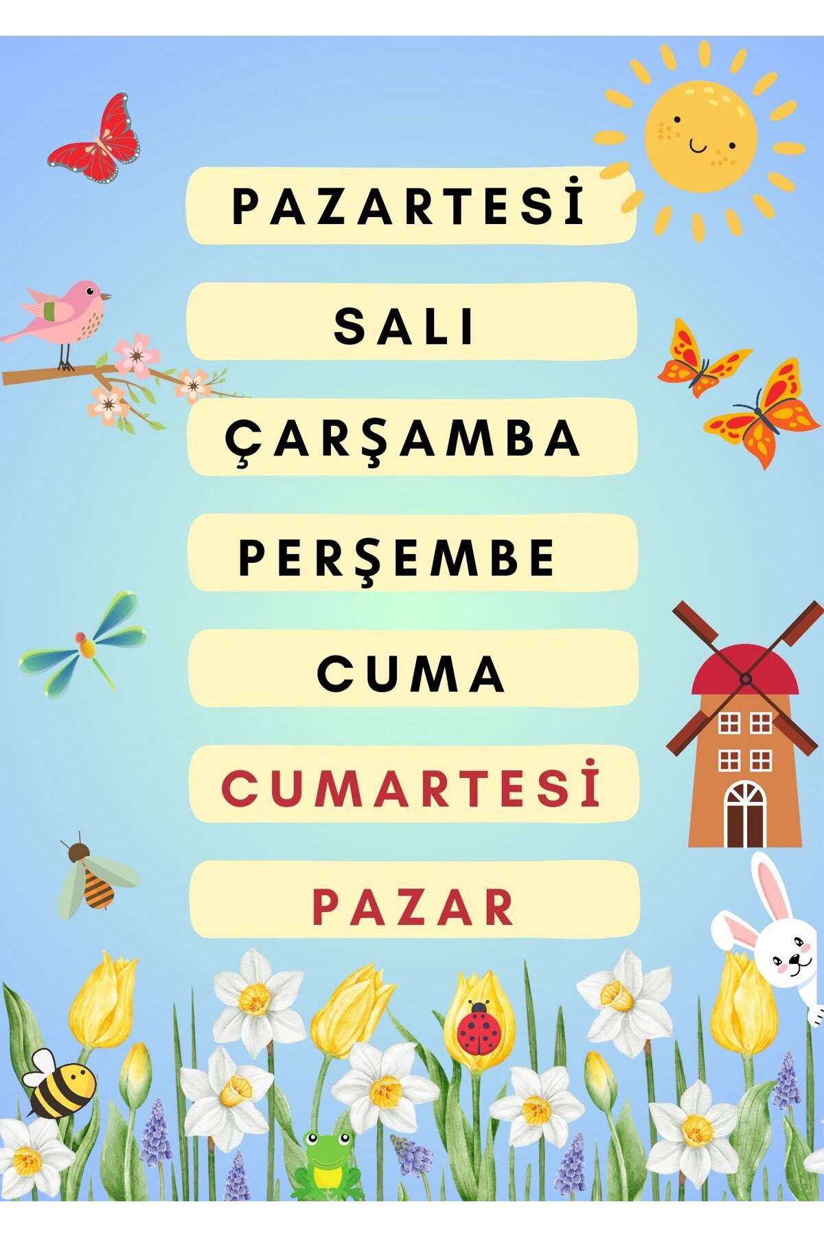 HAFTANIN GÜNLERİNİ ÖĞRENİYORUM 50 X 70 (VİNİL BRANDA) DİJİTAL BASKI