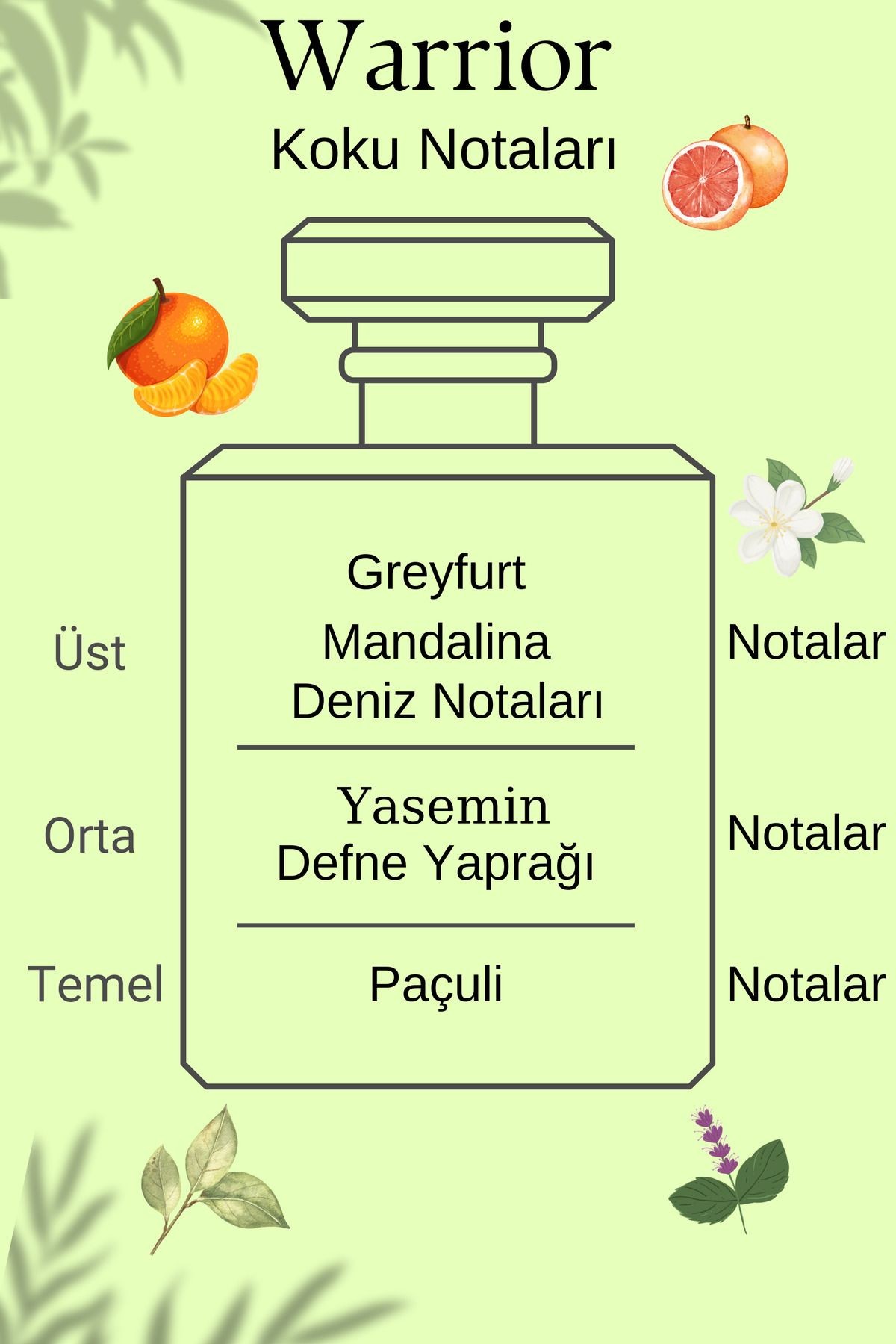 Warrior Invictus Yüksek Esanslı Afrodizyak Etkili Kalıcı Erkek Parfüm Edp