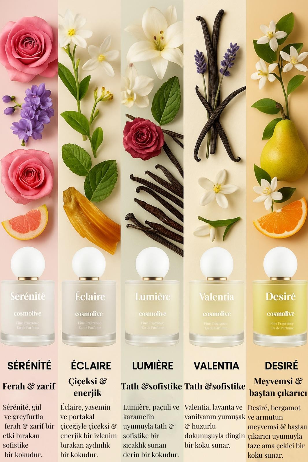 Velvet Desert Oud Kadın Parfüm | Kalıcı Koku | Yüksek Esanslı Özel Tasarım Parfüm