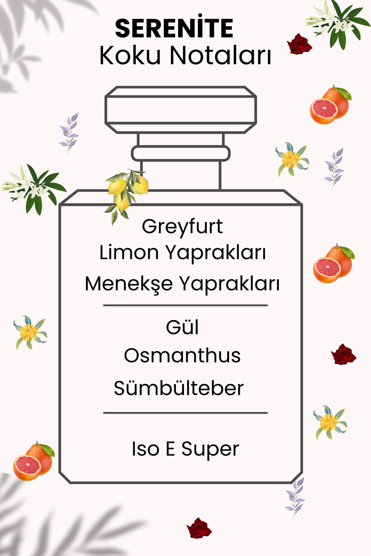 Serenite Kadın Parfüm | Kalıcı Koku | Yüksek Esanslı Özel Tasarım Parfüm