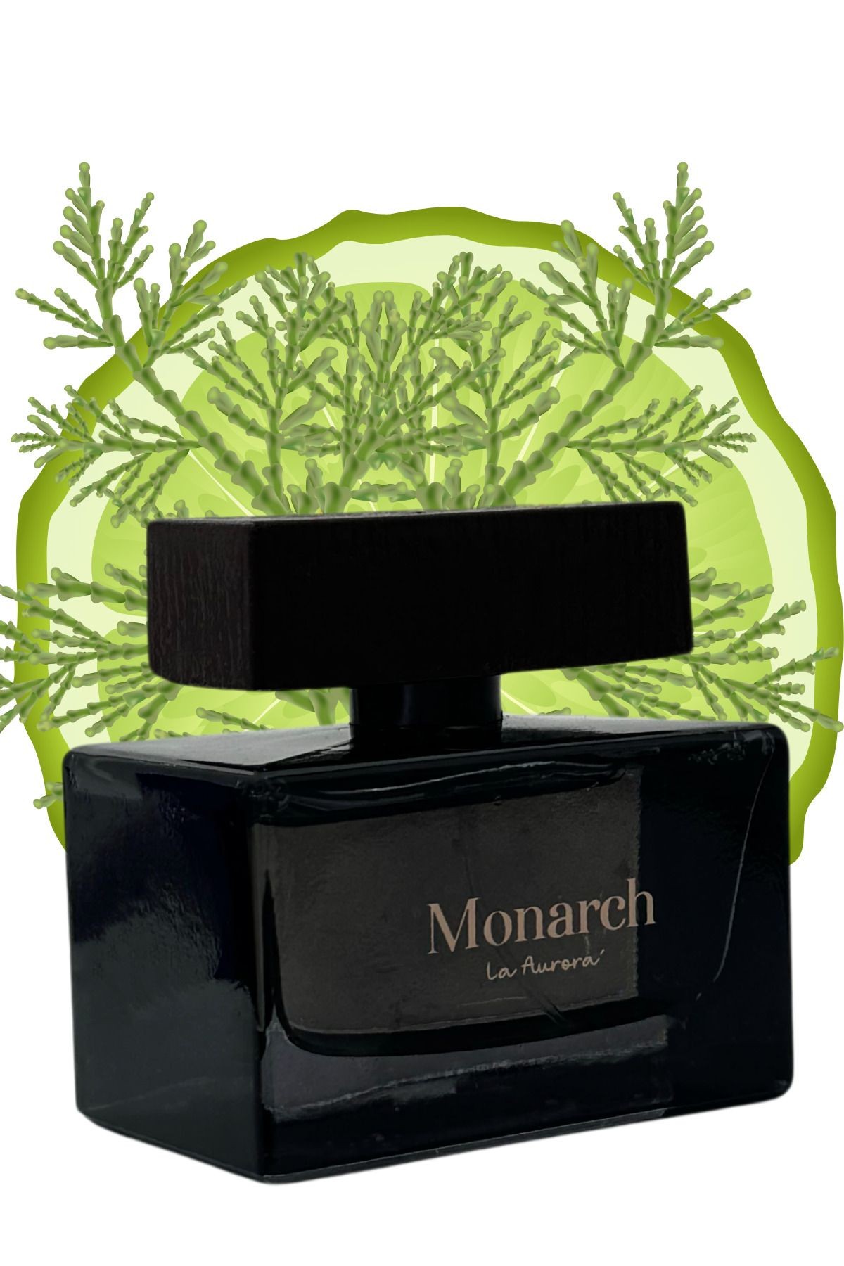 Stronger Wıth Yuo Intensly Yüksek Esans Kalıcı Erkek Parfum The Monarch Afrodizyak Edp