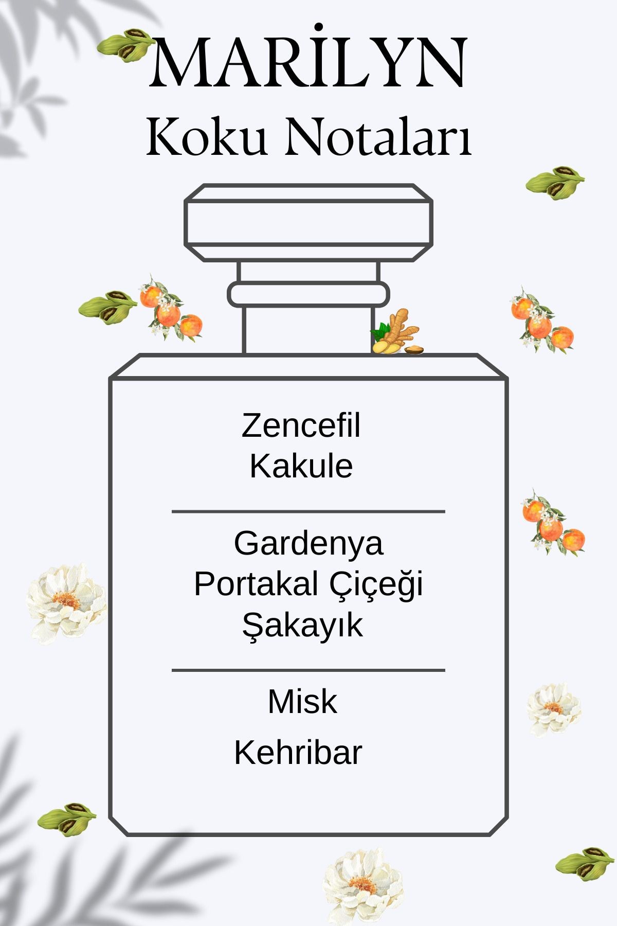 Idôle Yenilenen Formül Ile Kalici Kadin Parfüm Yüksek Esanslı Edp %20 Afrodizyak 100ml Marilyn