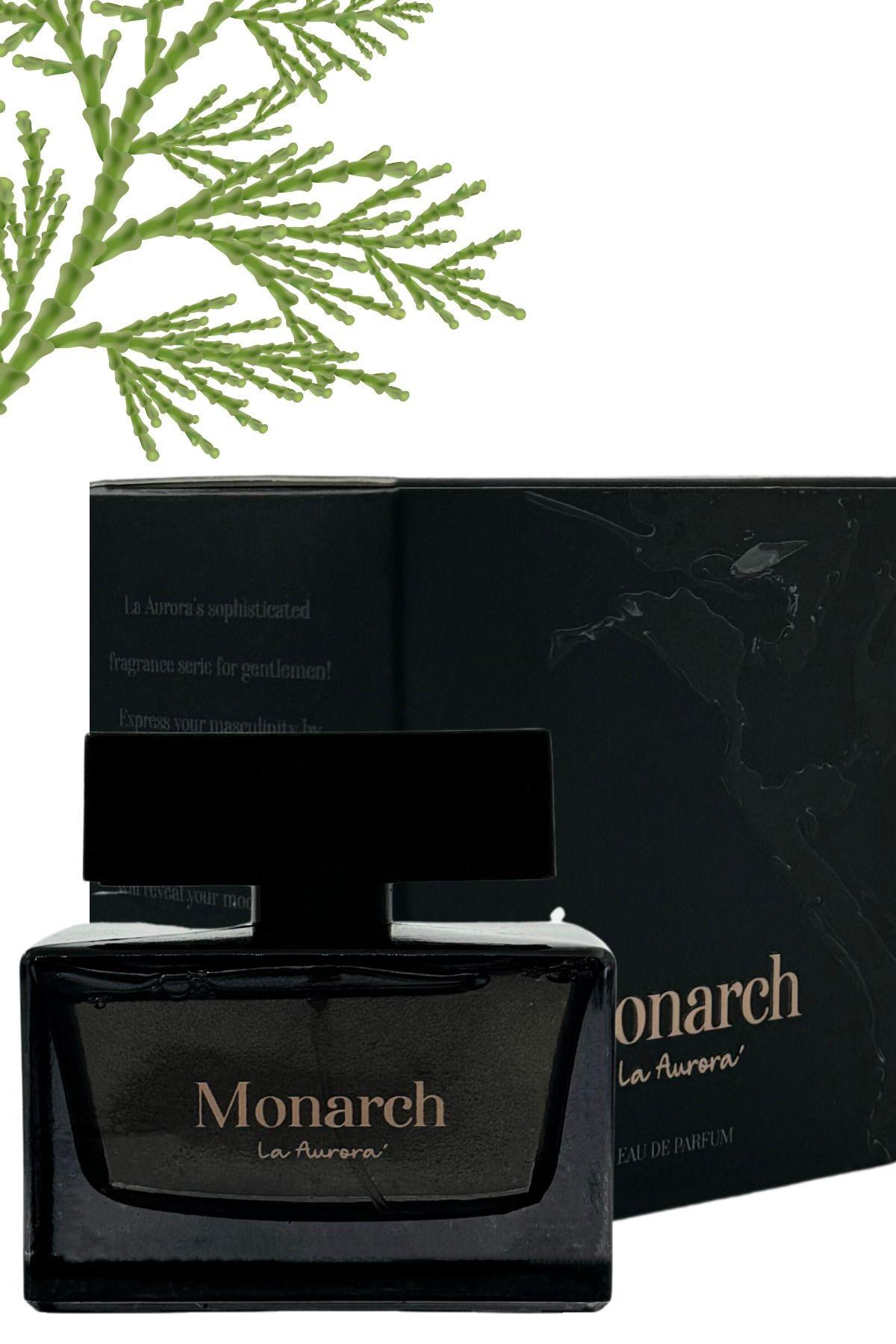 Stronger Wıth Yuo Intensly Yüksek Esans Kalıcı Erkek Parfum The Monarch Afrodizyak Edp