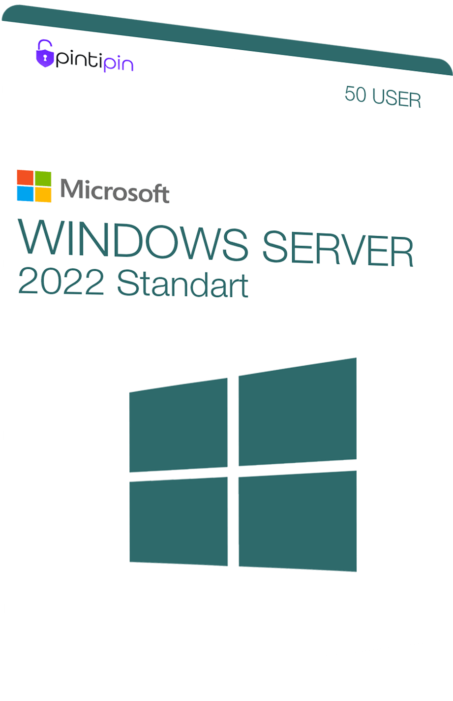 Windows Server 2022 Standard Lisans