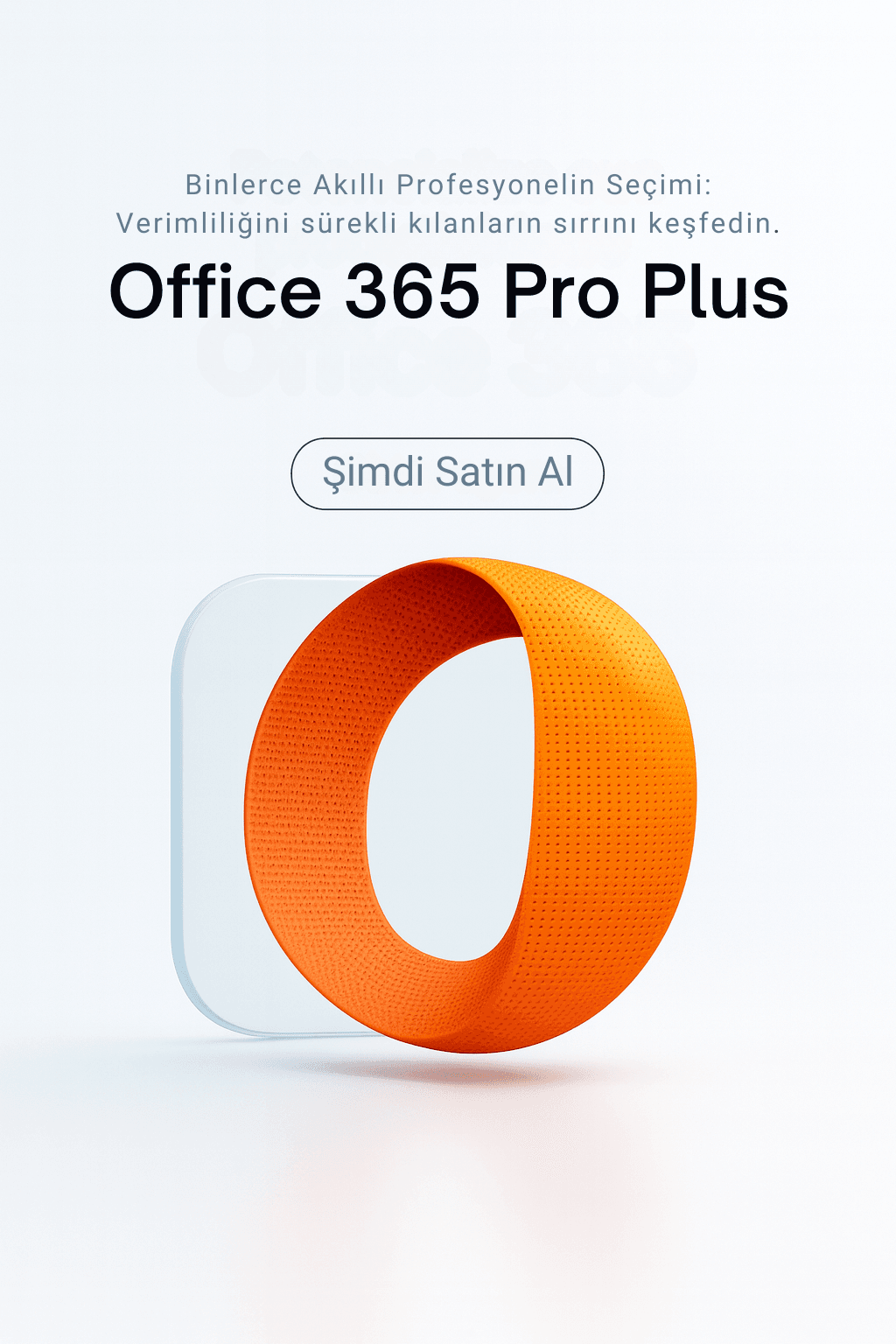 Microsoft Office 365 Lisans