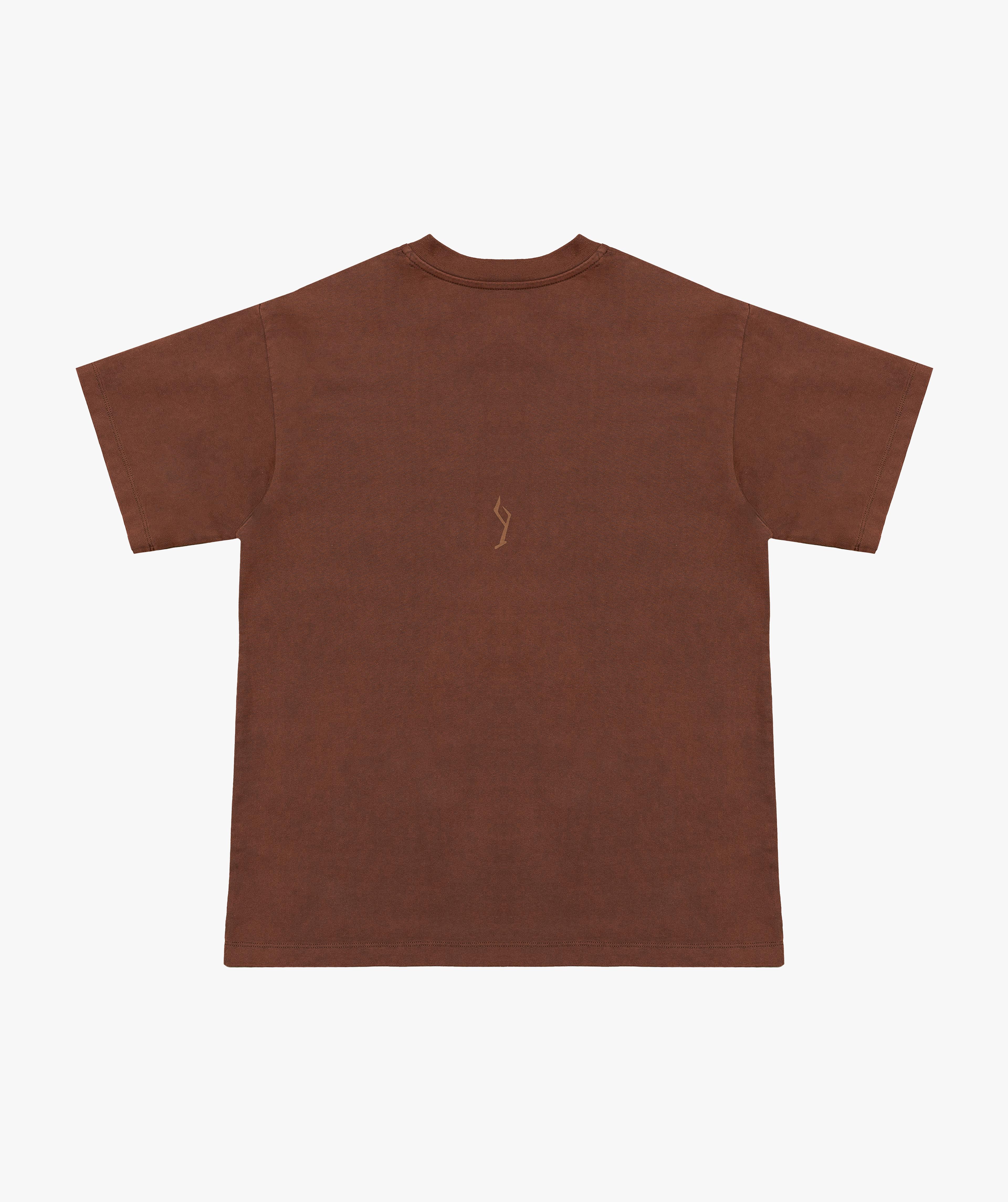 Icon Washed Brown T-shirt 