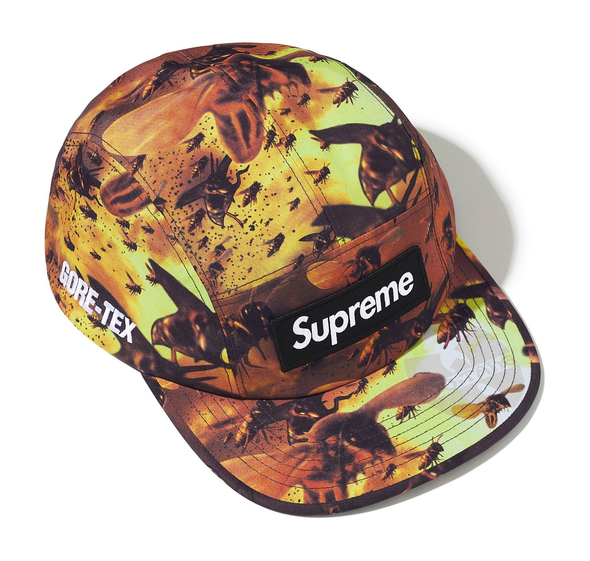 Supreme x Wu Tang Gore-Tex Cap