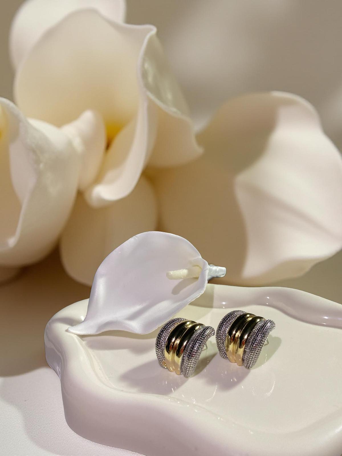 VIP Taşlı 2 Renk Küpe