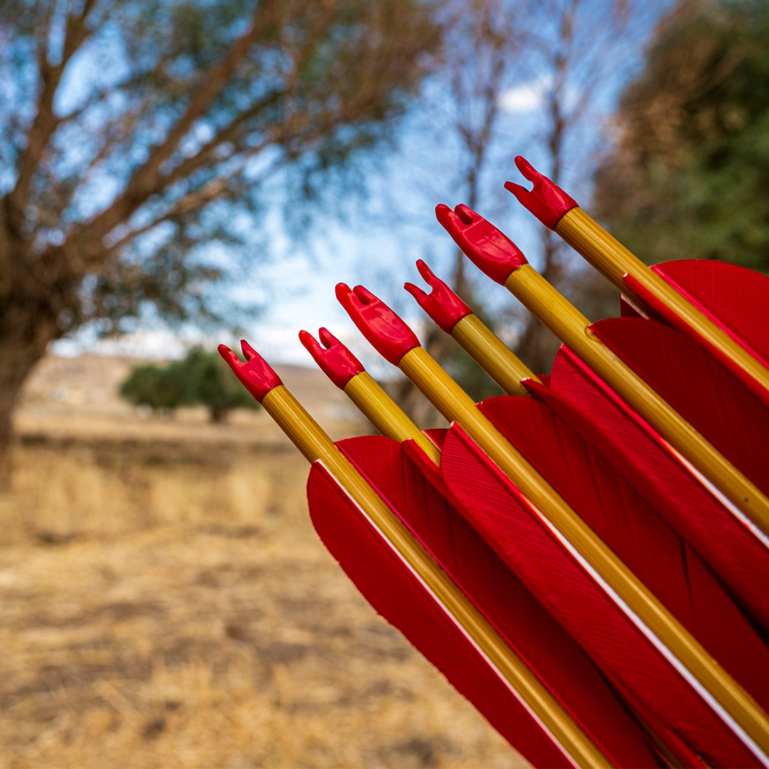 Koç Nocks for Carbon Arrow / 50 Pieces