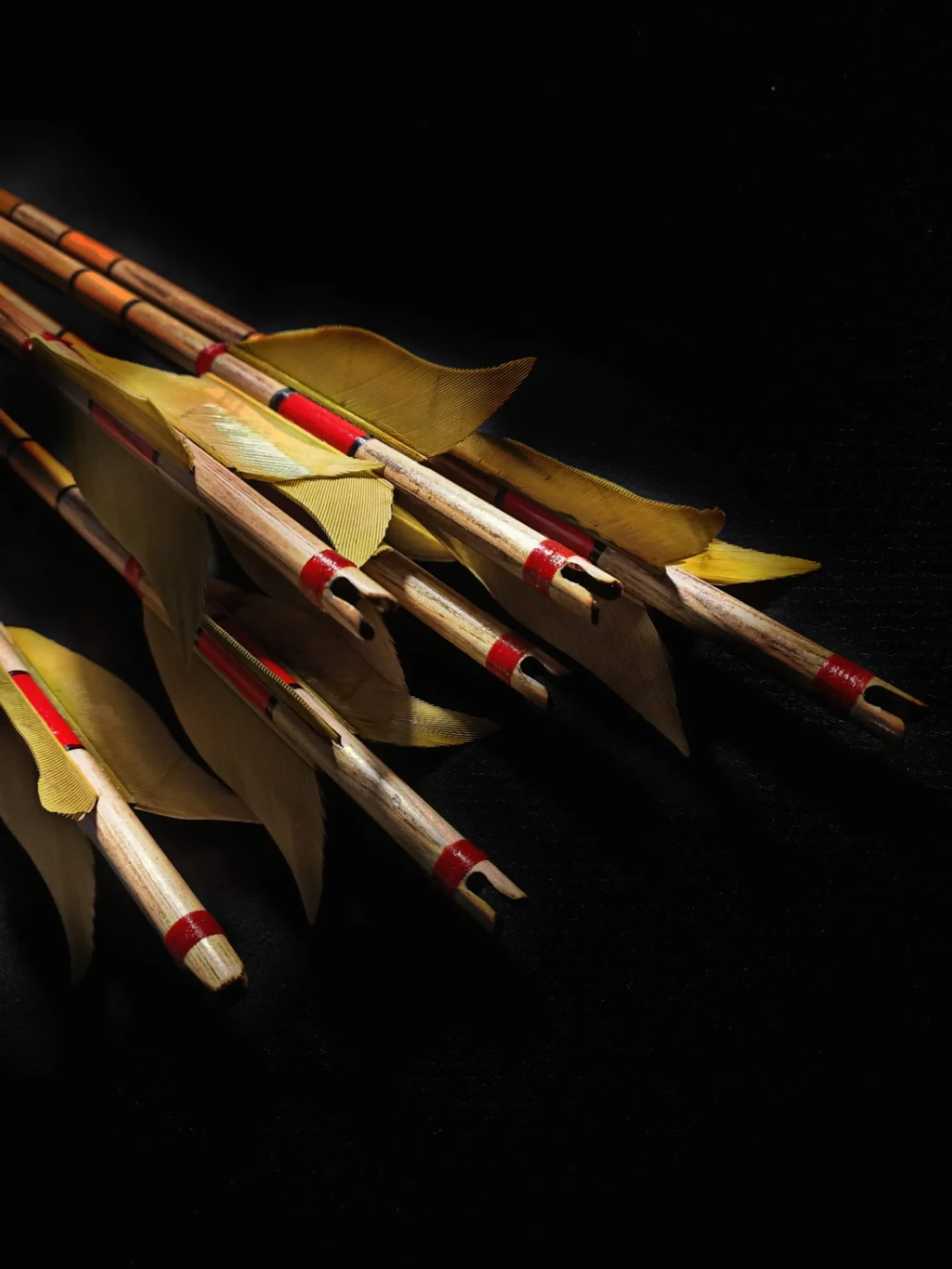 Special Khaki Tulip Maned Traditional Arrows - 12 Pieces