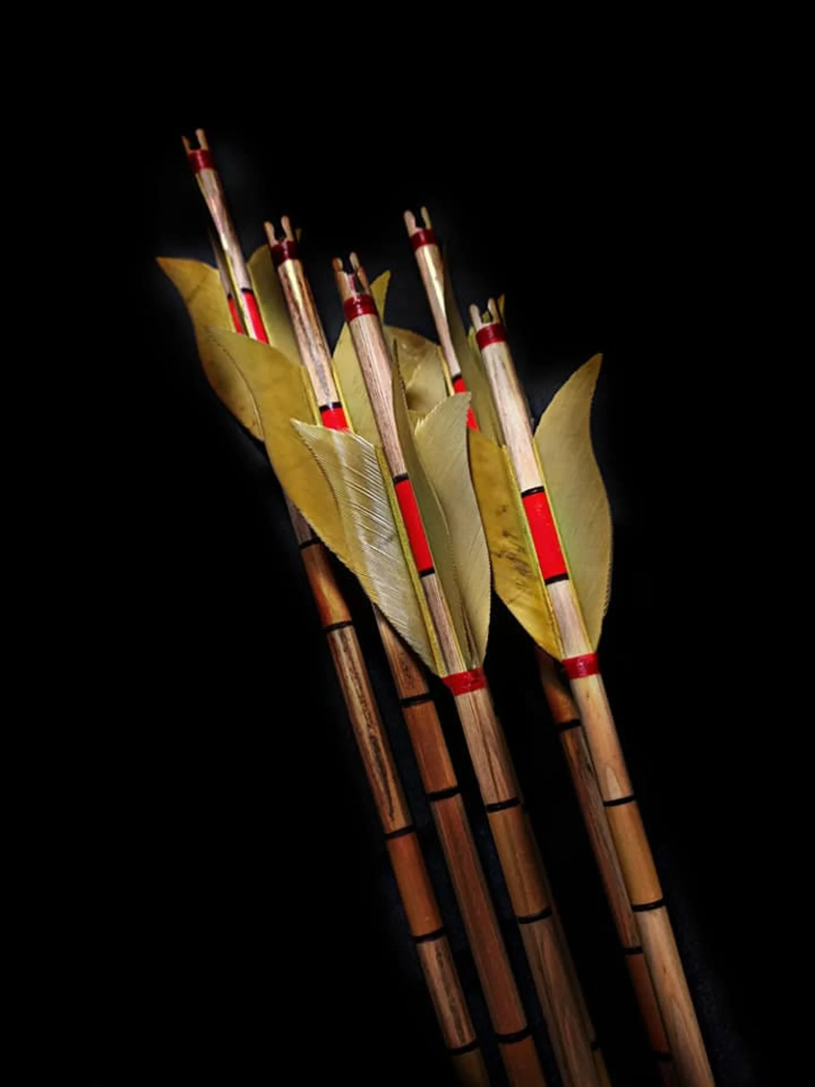 Special Khaki Tulip Maned Traditional Arrows - 12 Pieces