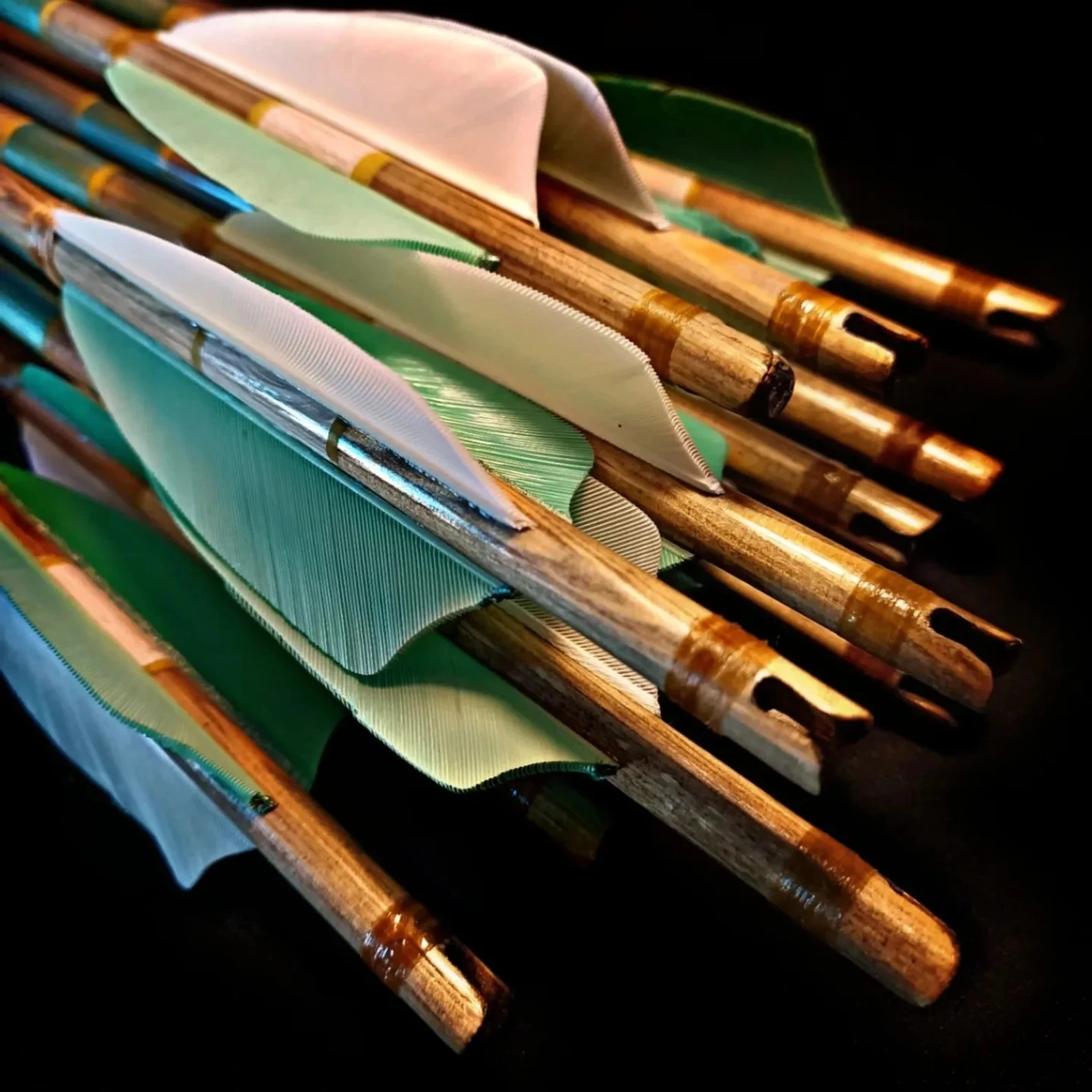 Special Shield Cut Maned Traditional Arrows - 12 Pieces